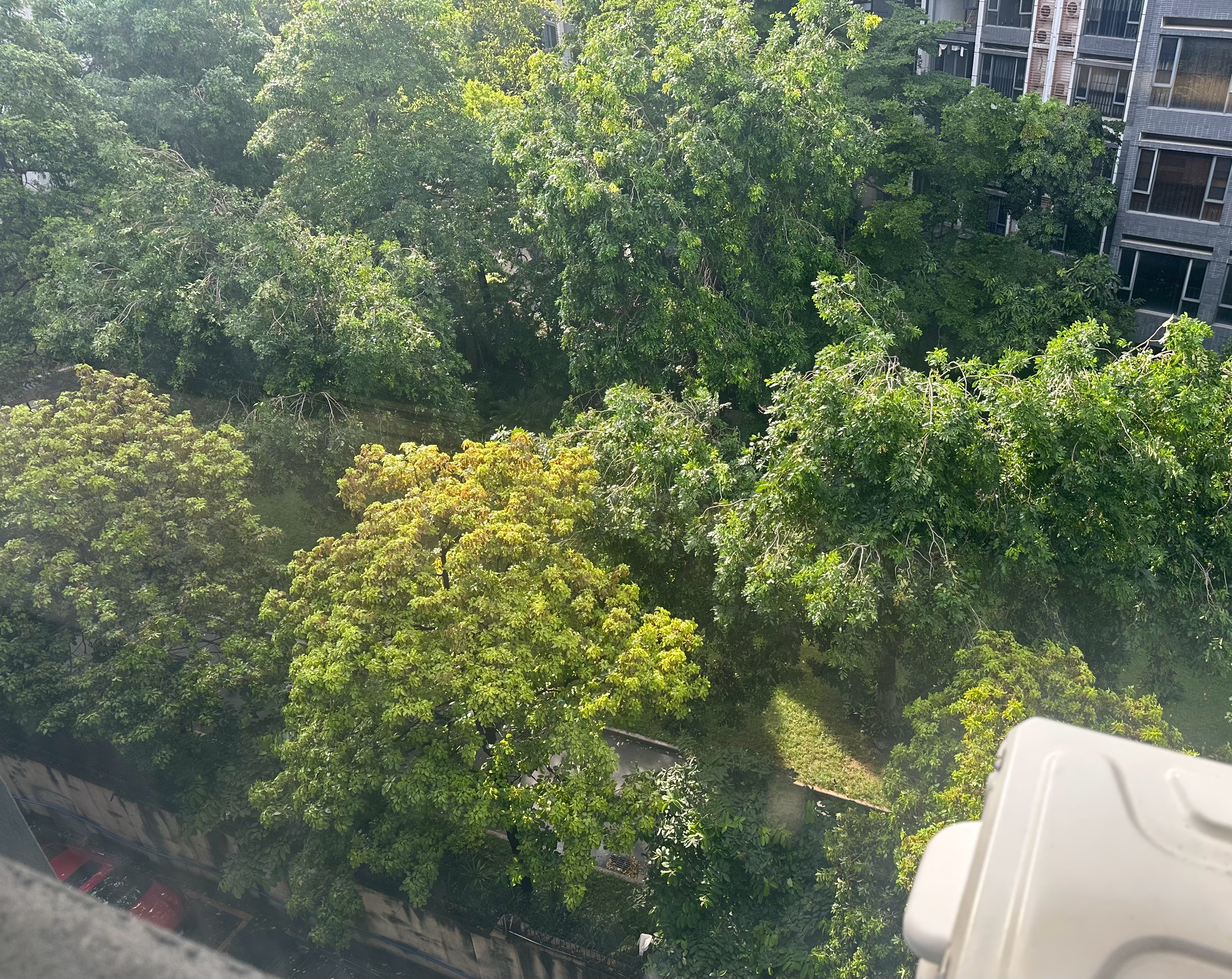 下午一直在下雨，这会儿太阳出来了，相信晚间咱们也能一扫阴霾