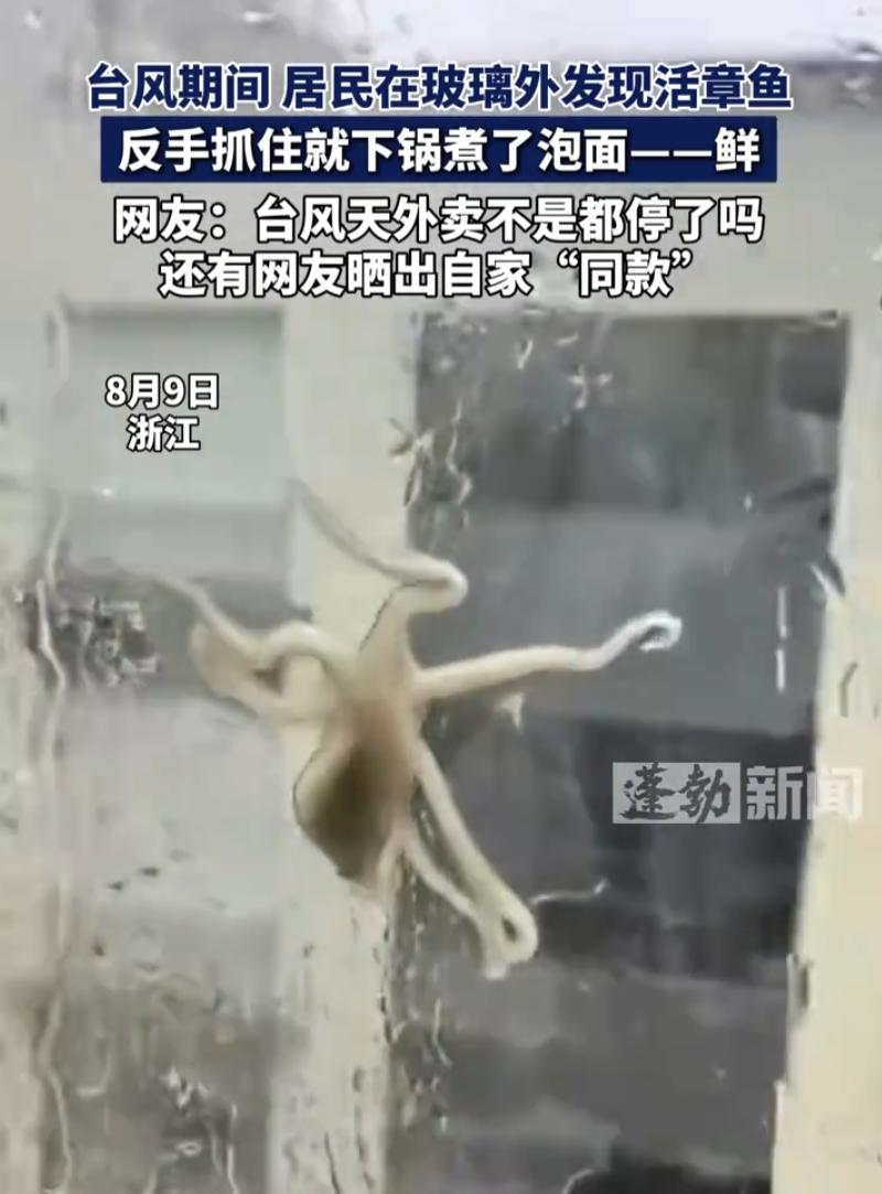万万没想到！浙江，台风来袭后男子在家中休息，突然看到四楼的玻璃上有个东西，离近一