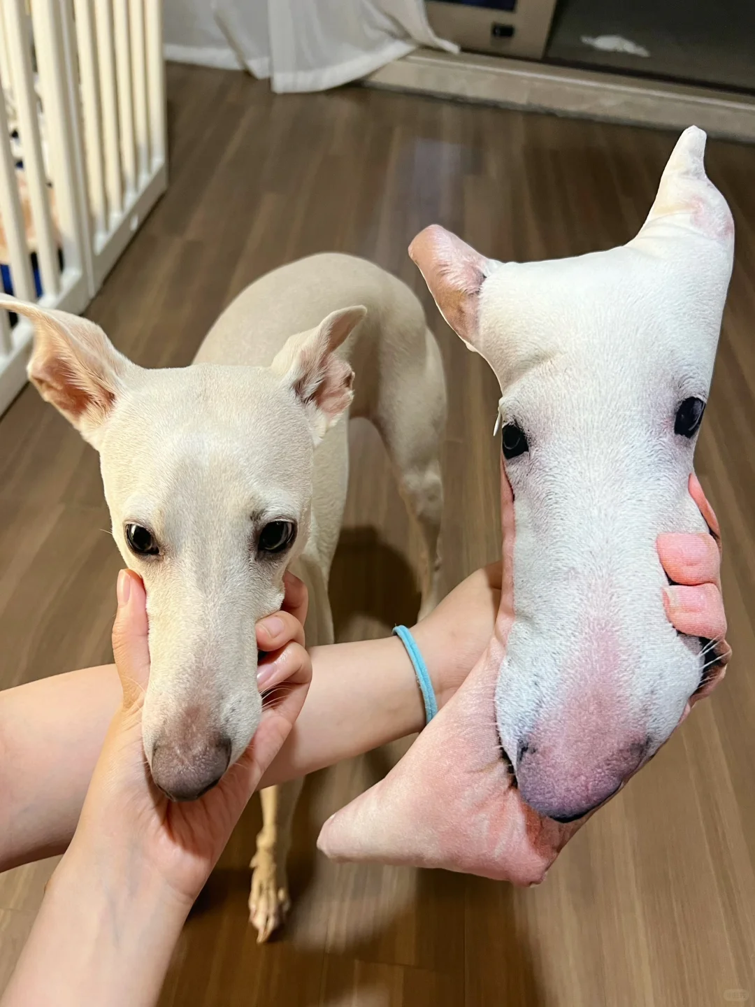 歪歪：你自己看看好看吗？