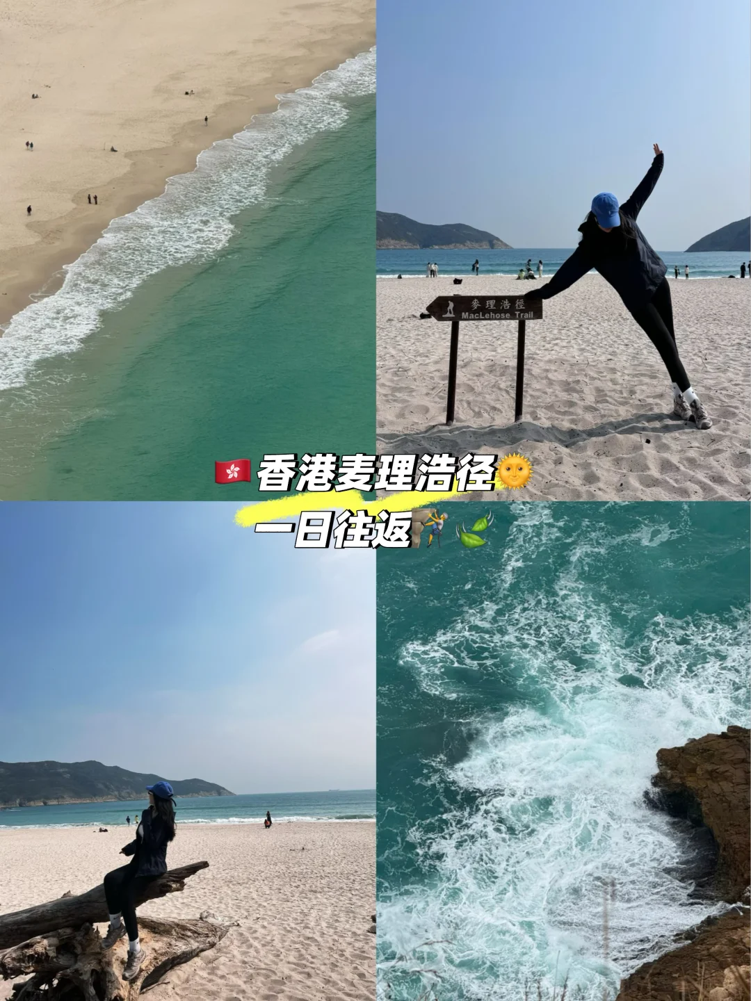 奔向海浪的尽头