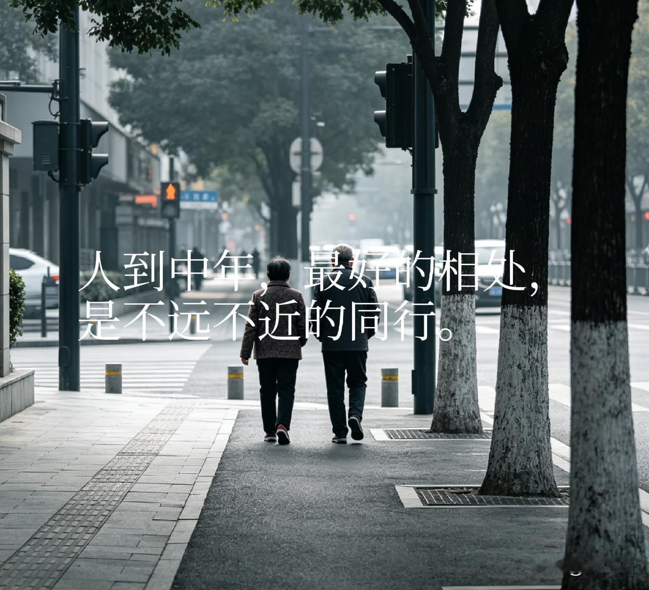1. 欣赏从不必刻意靠近
​
2. 心生欣赏，亦守边界
​
3. 进退之间，皆是