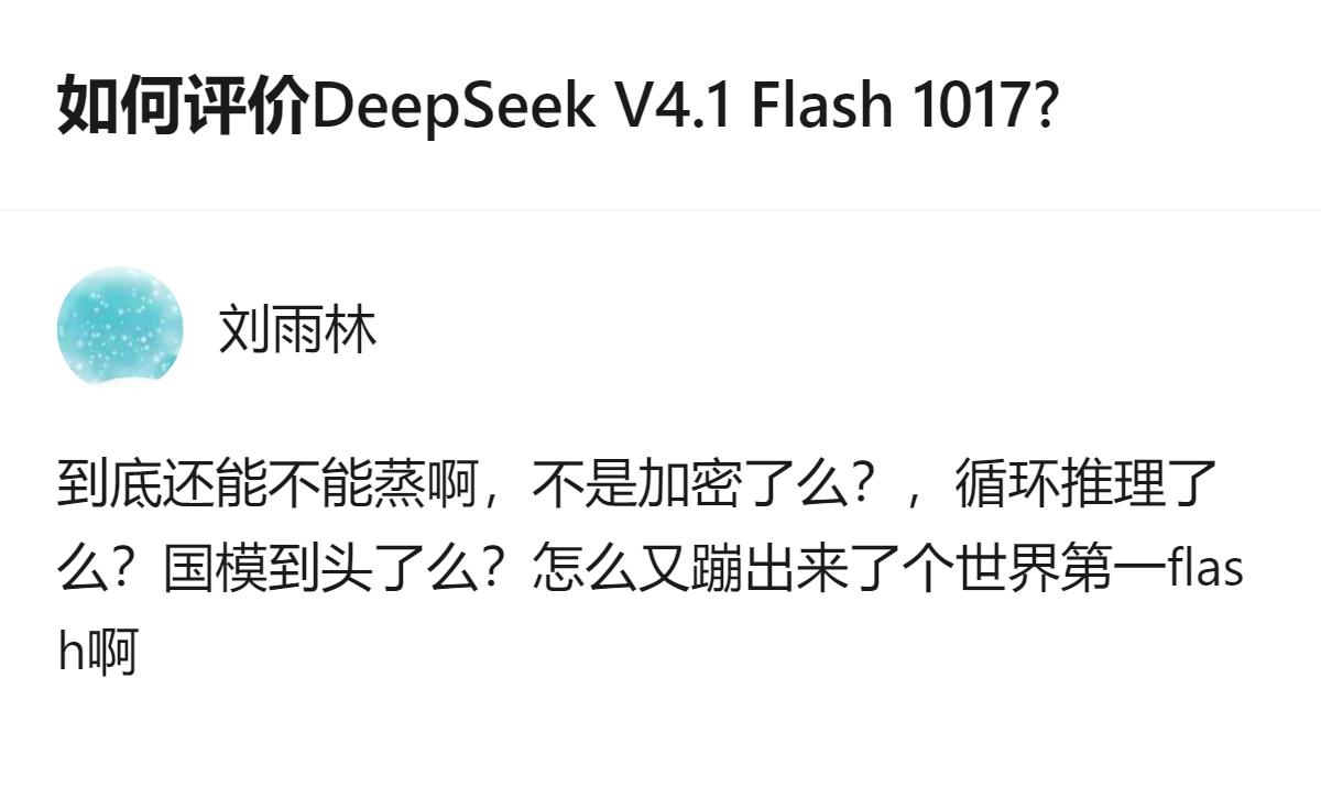 关于DeepSeek V4.1 Flash 1017，目前有用户提出了能否运行、