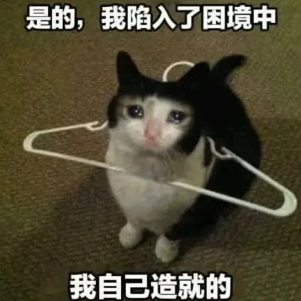 秋秋音乐都提示我发言过快评论发不出去了我还没被翻牌，我已急哭 
