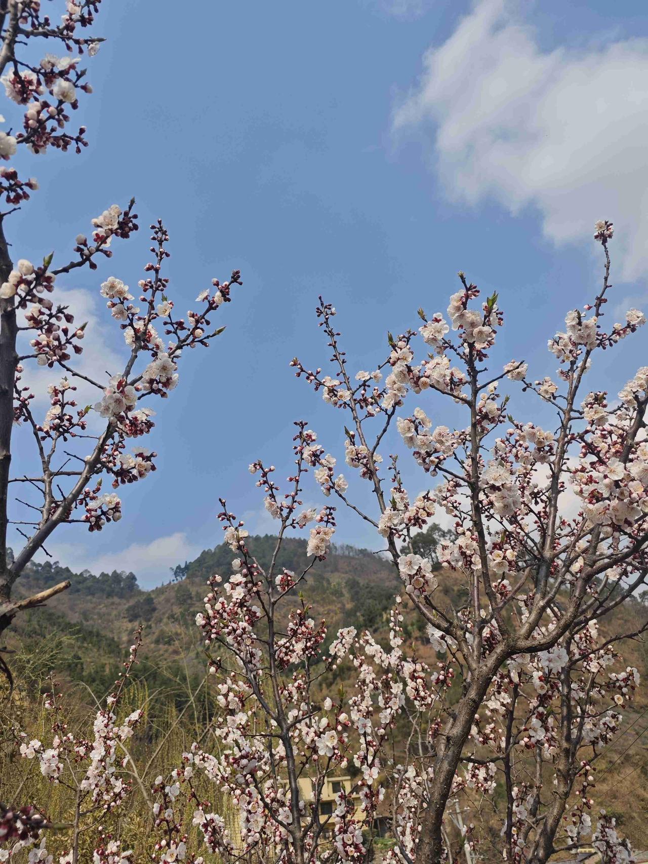 我的今日状态：💰期待暴富
我这里的天气：🌧下雨