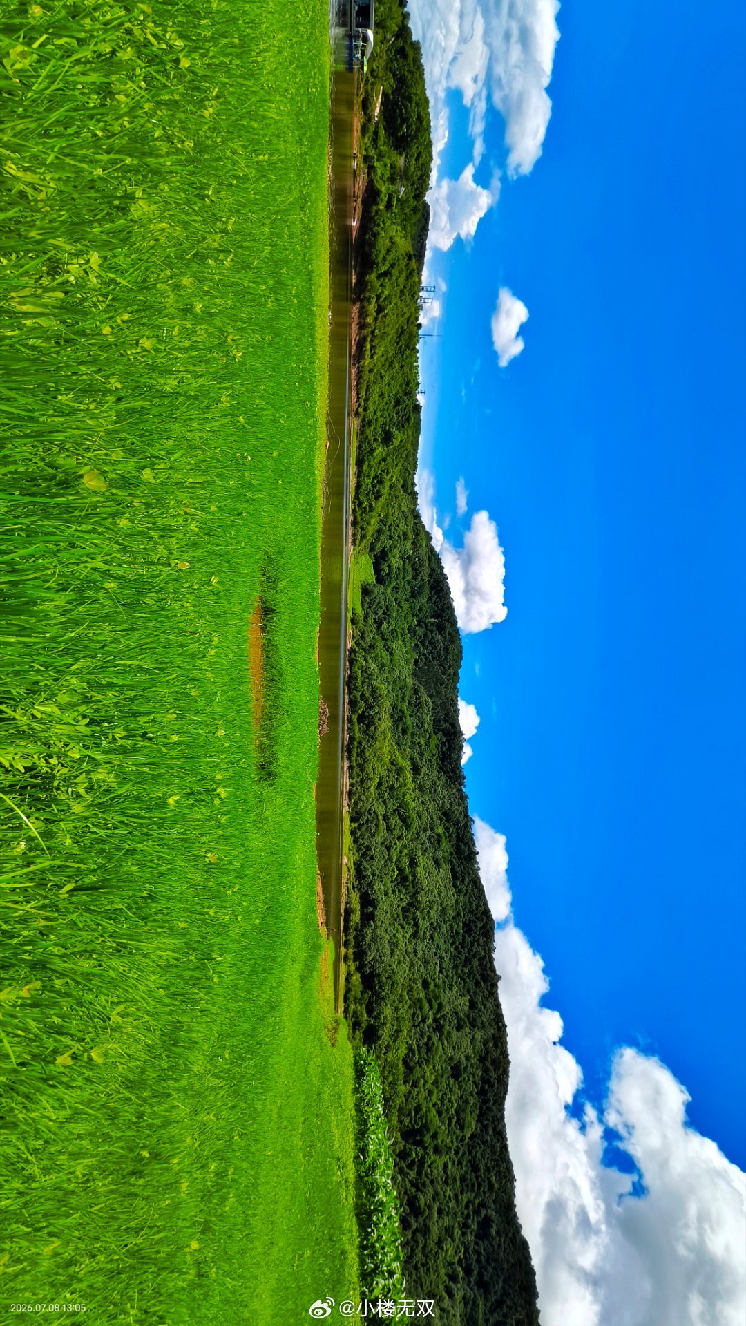 “风轻、云淡” 