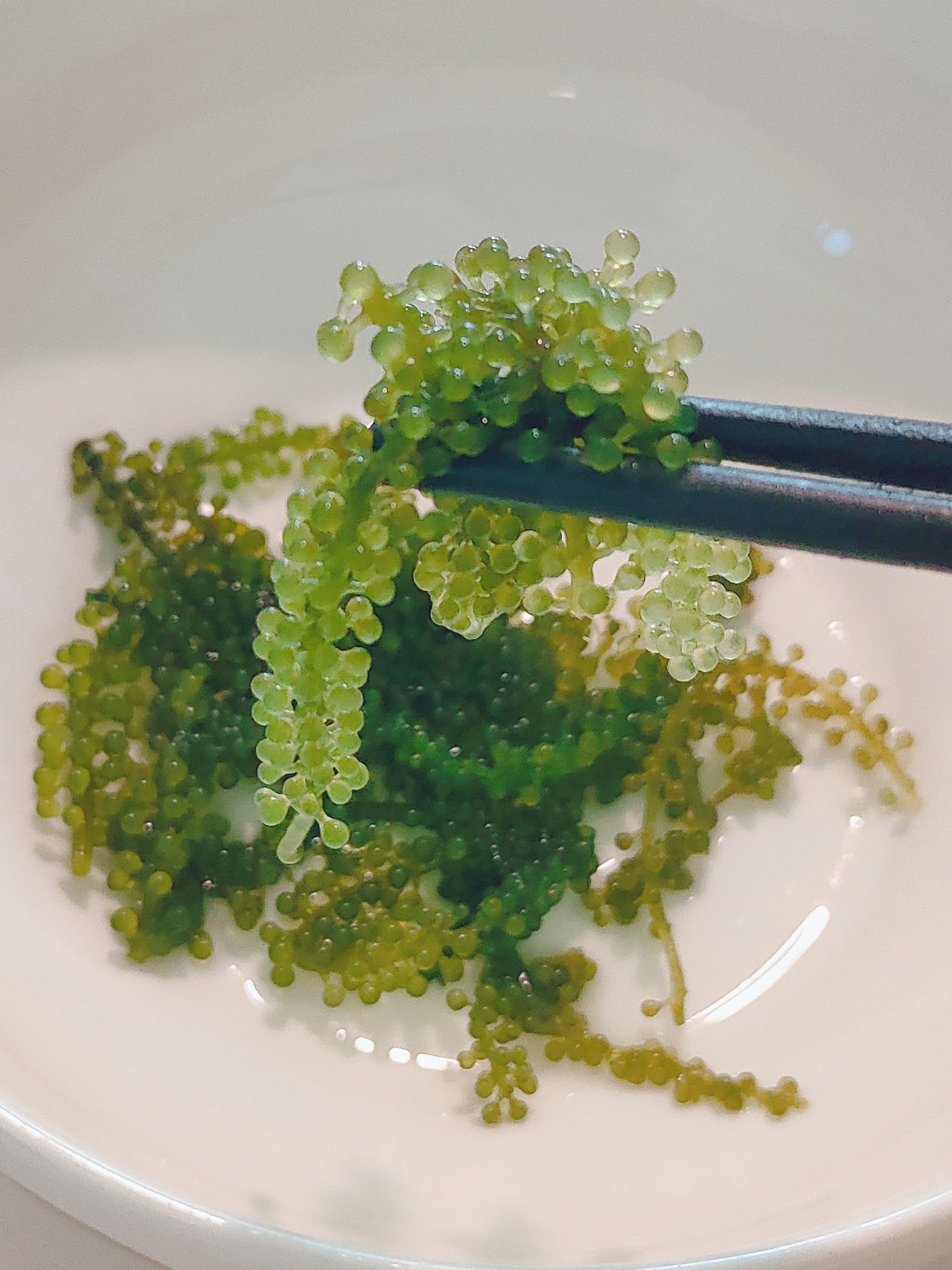八月，过夏天儿🍡 