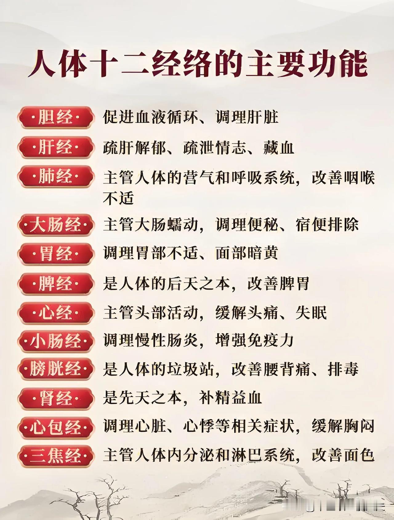 人体的十二经络
胆经•促进血液循环、调理肝脏
•肝经•疏肝解郁、疏泄情志、藏血