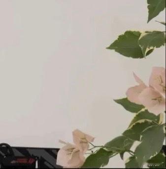 善良是一种美德，善良是一种远见，善良是一种自信，善良是一种精神力量，善良是一种以