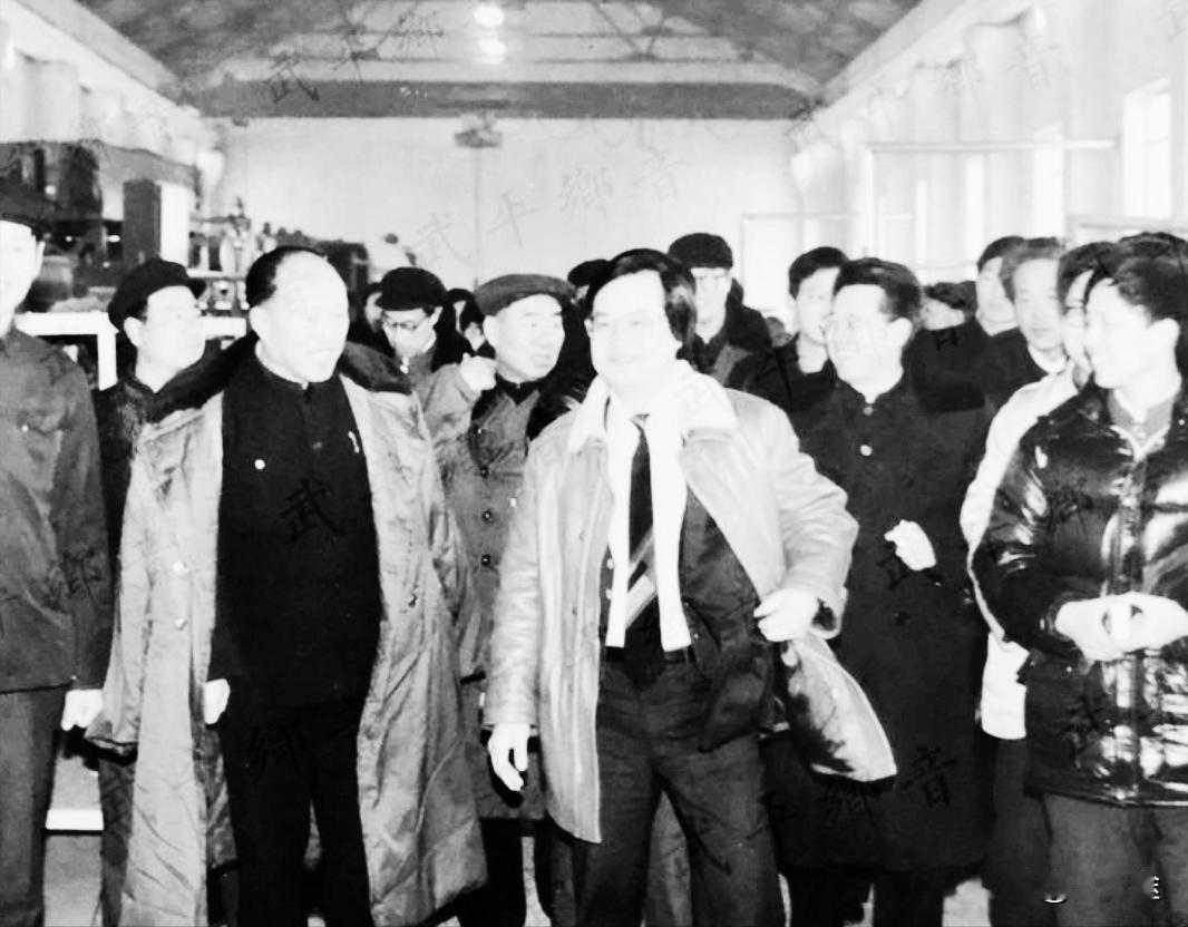 1987年，时任河北省委书记邢崇智、省长岳歧峰在廊坊地区霸县胜芳镇视察的一张照片