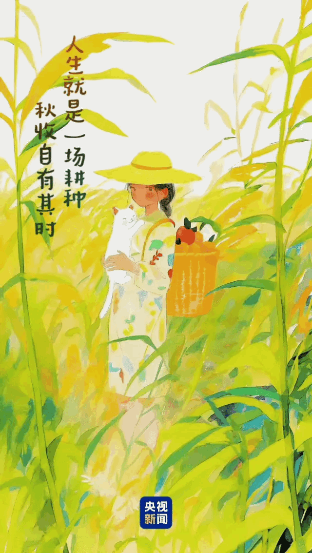 阳光信用[超话]  秋是第二个春，此时，每片叶子都是花朵。秋日温柔，秋夜高远，落