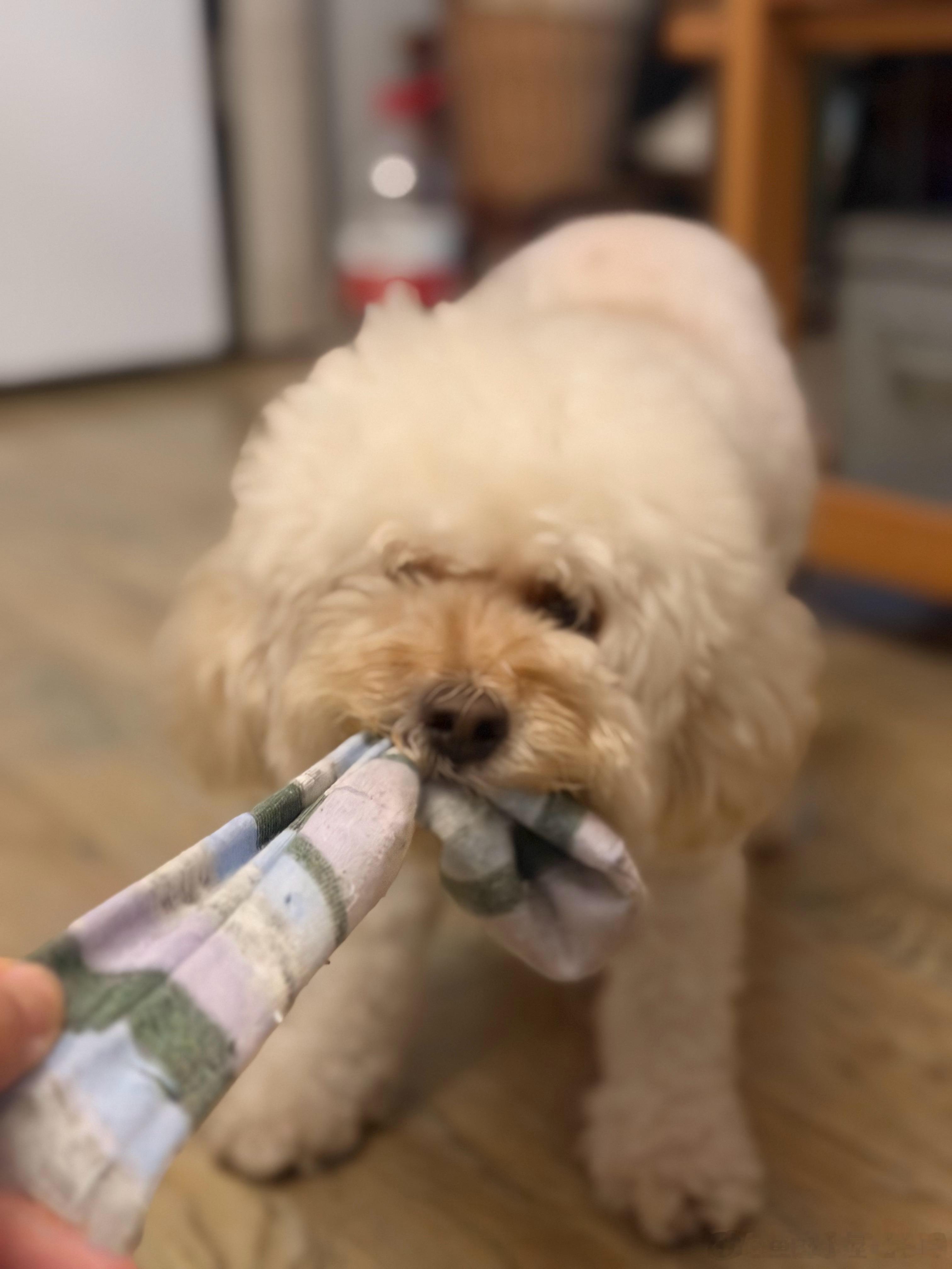 最好玩的都不是玩具就要搞破坏 ​​​