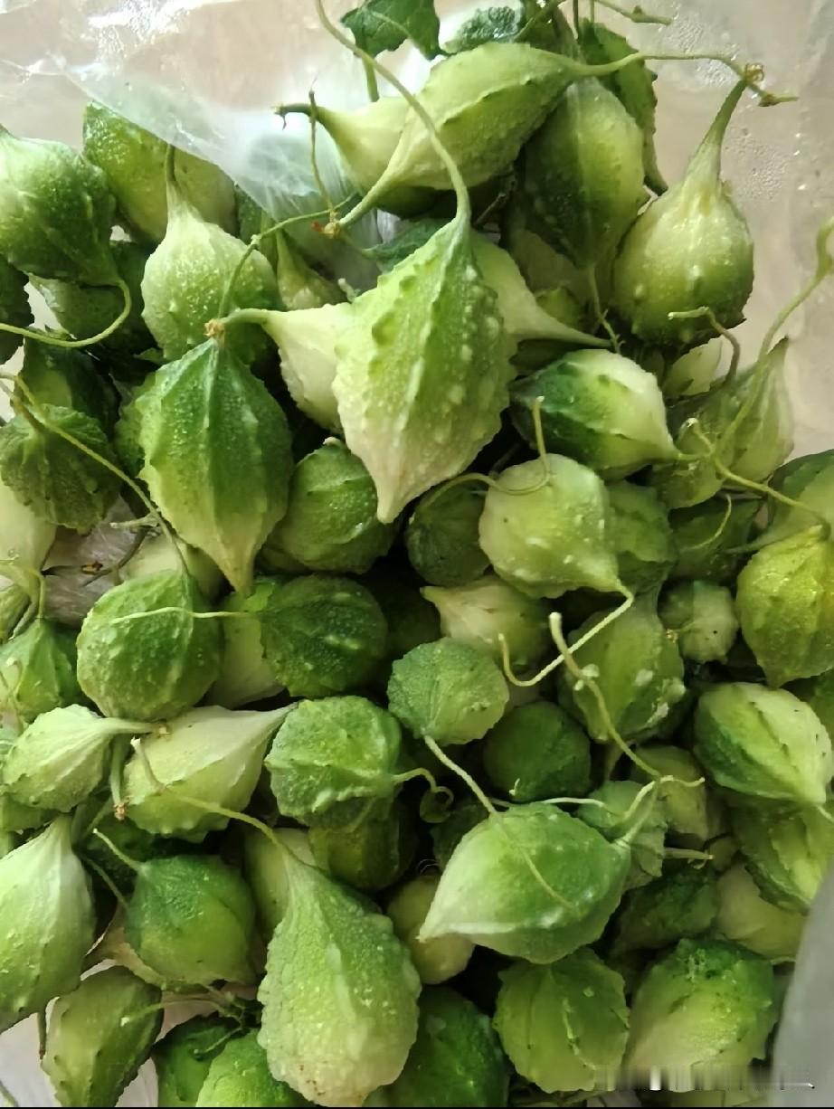 这是苦瓜吗？能吃不