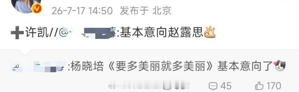 好多瓜主发了许凯要演赵露思的《要多美丽就多美丽》其实我觉得这阵容的话这剧真的有爆