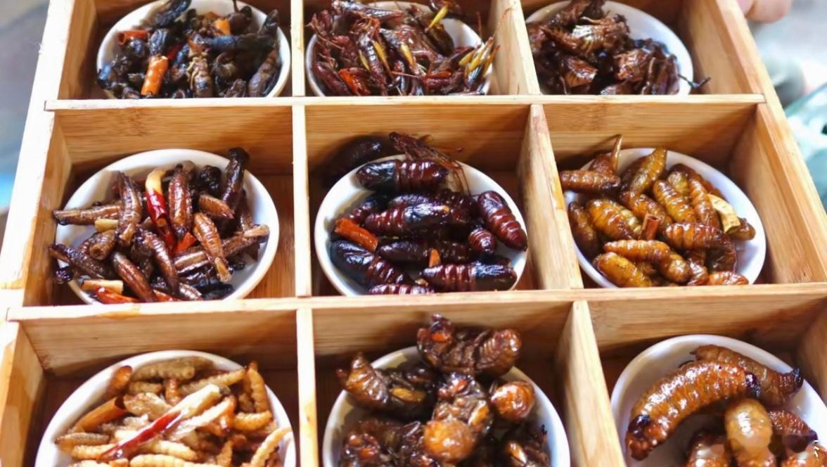 食虫大餐，不是一般人能吃得到的！（没吃过的举个手。） ​​​