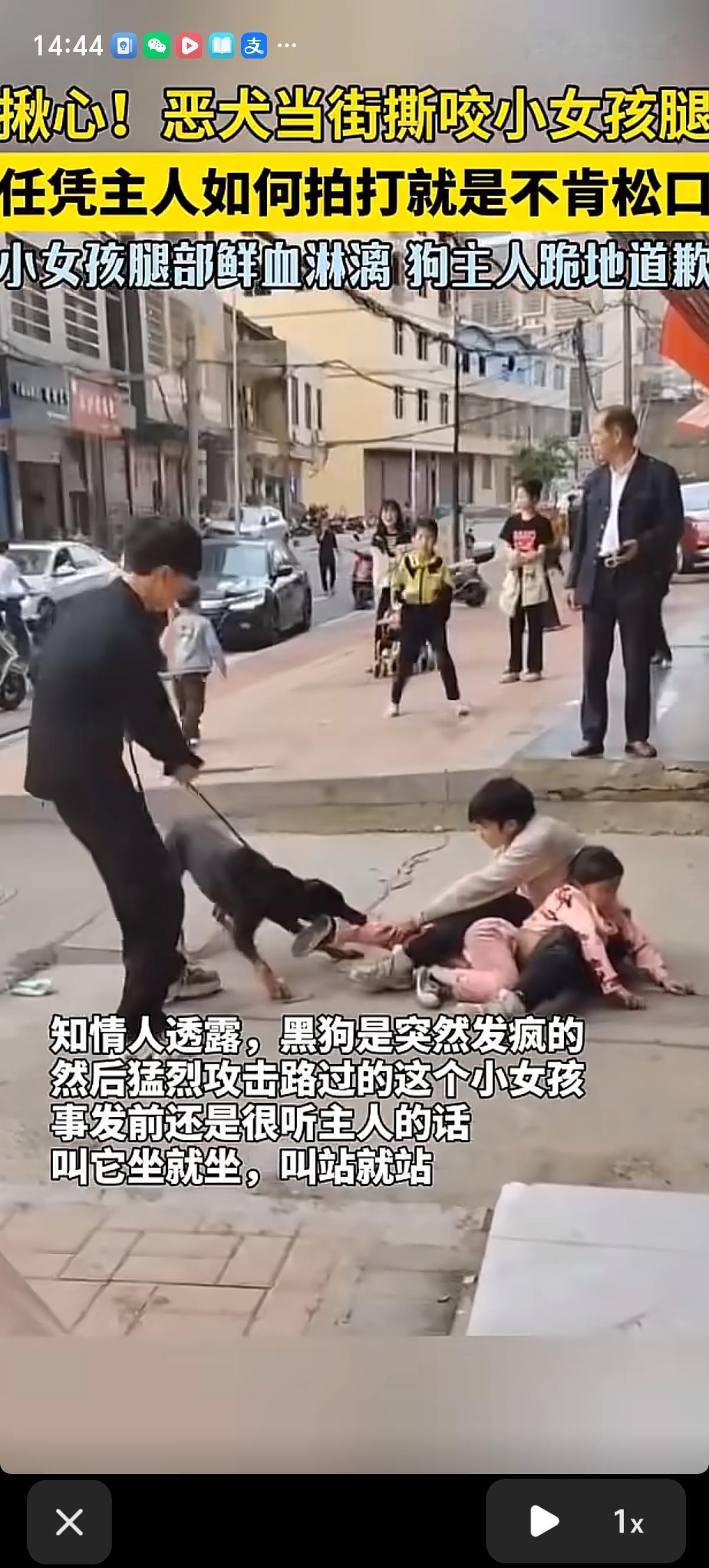 湖南常宁街头一条大黑狗死死咬住女孩的小腿，任凭狗主人尽全力拉扯、拍打，就是不松口