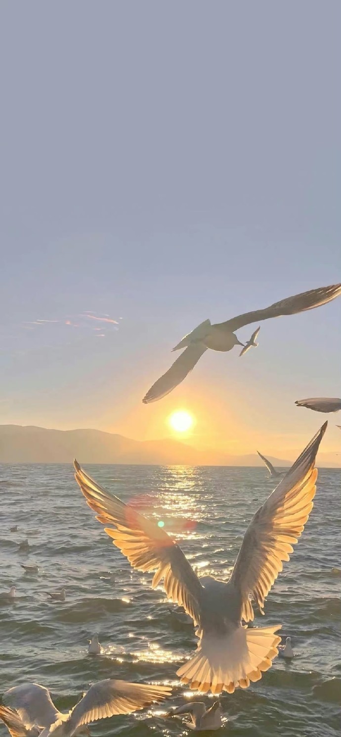 想让你一直都有喜欢的壁纸换～ 