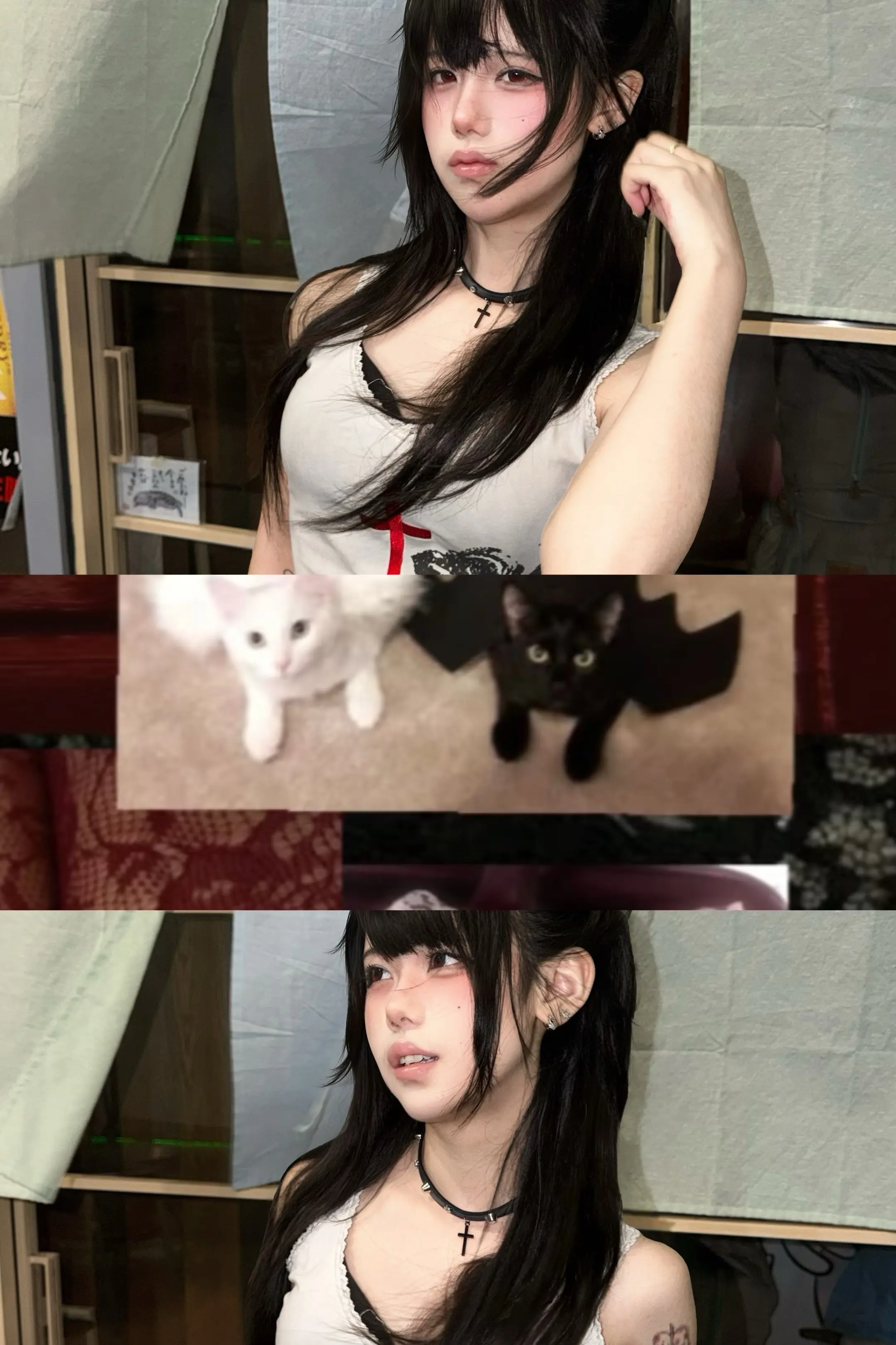 猫猫系
