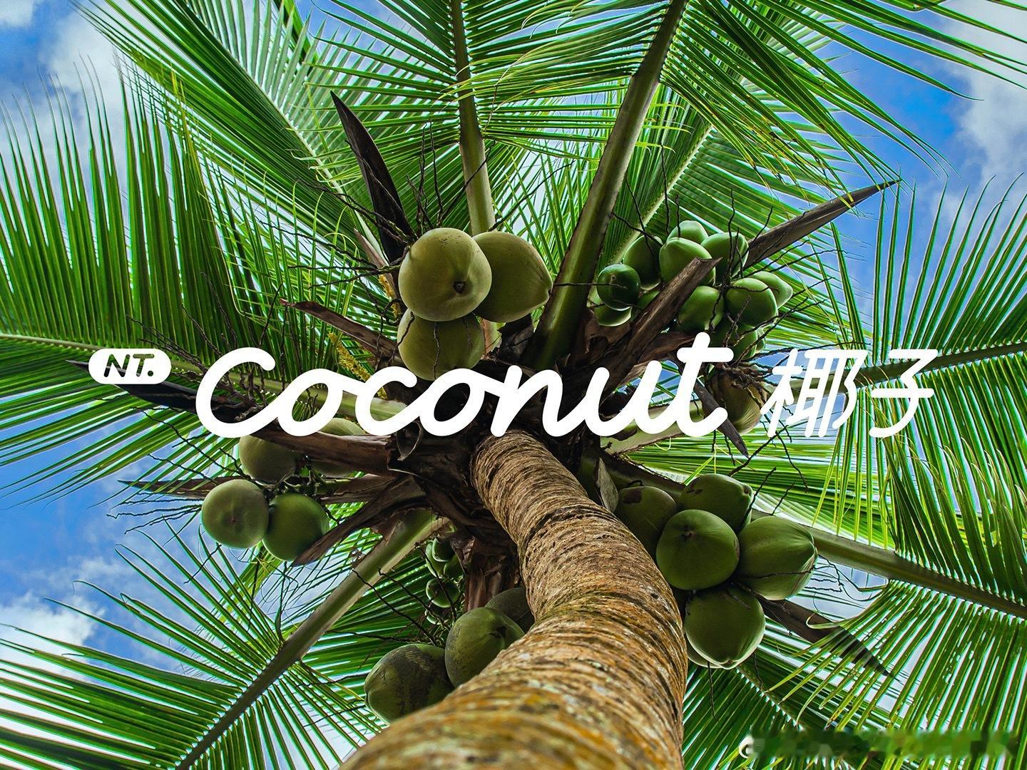 乐道L60最新系统Coconut 椰子 1.2.0 正式开启推送！[鲜花][鲜花