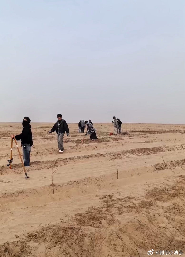 十个勤天要在沙漠种玫瑰 点进直播看到他们在沙漠里挖坑，还以为是在搞什么大工程。结