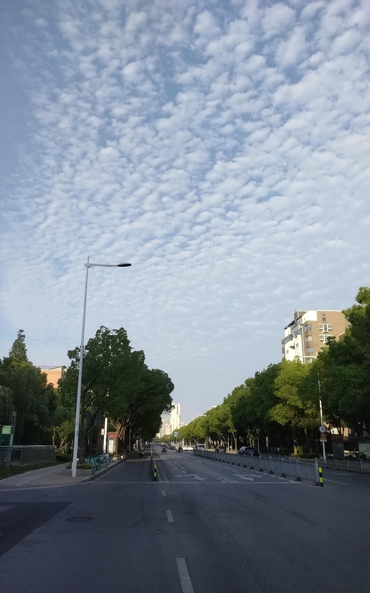 随手拍一张城市天空今天无锡天气尚好，早上走出家门去散步，抬头突然发现天空出现了棉