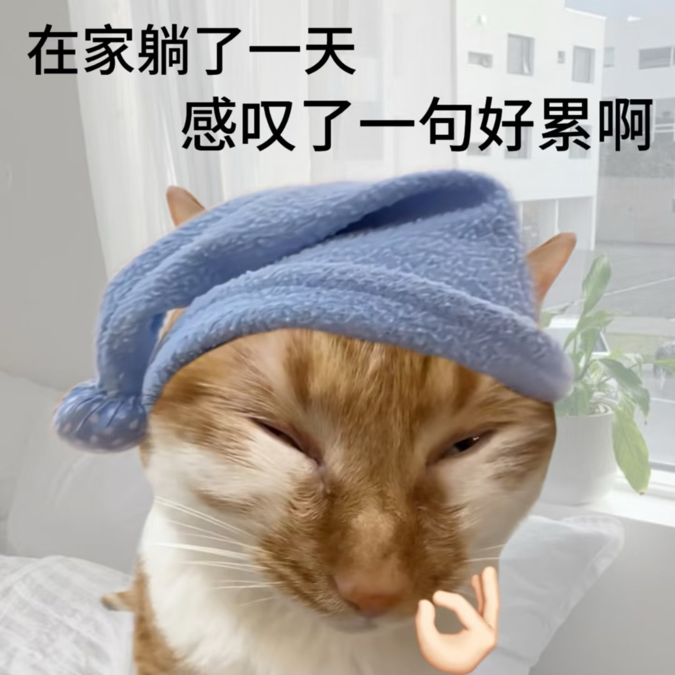 好想把侯明昊这种高精力人吃掉，一天干的工作量光看着我都累的不行 