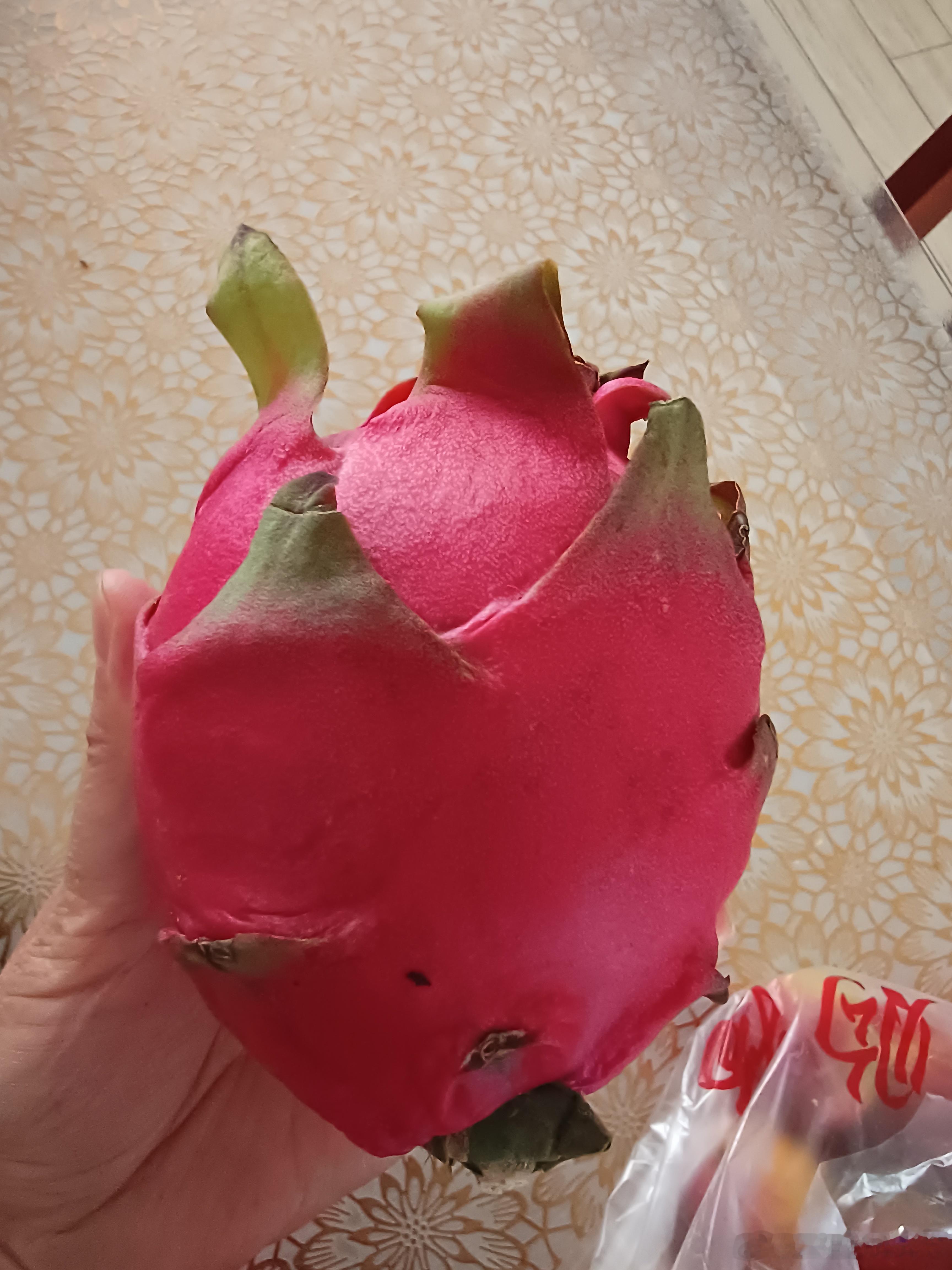 早市的水果、蔬菜确实便宜，十元4个火龙果，红梅杏4元一斤，豆角2元一斤，辣子2元