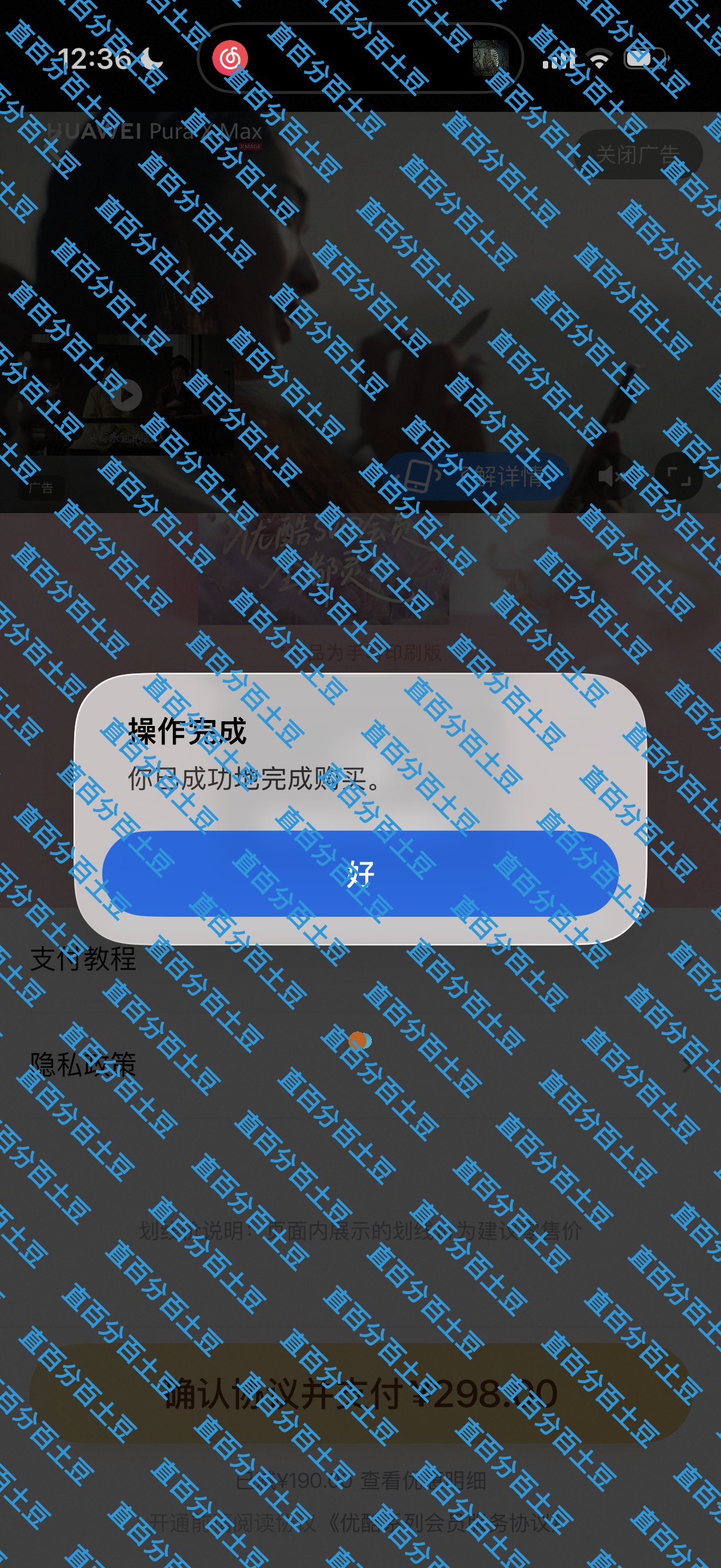 必须狠狠支持女神新商务