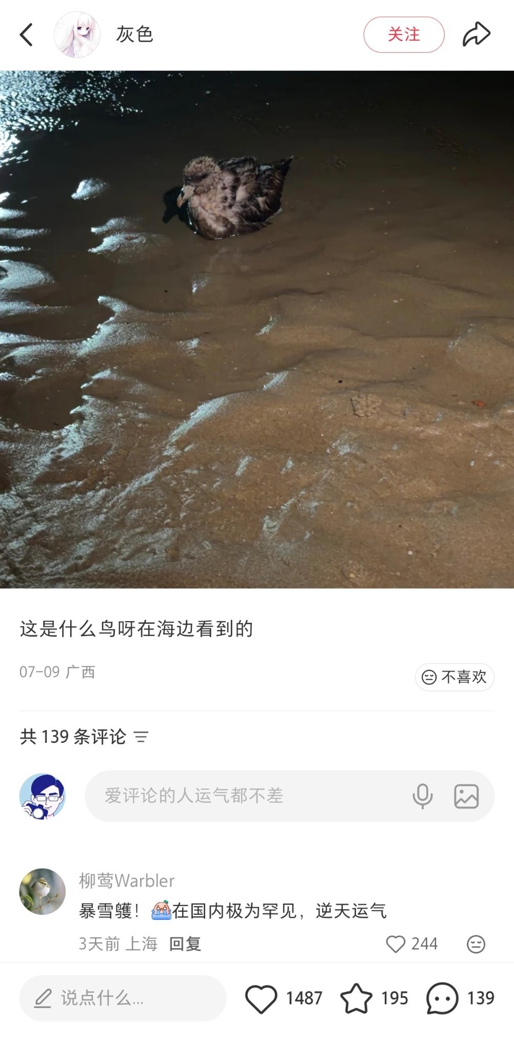 你不许观鸟系列最离谱的一集 