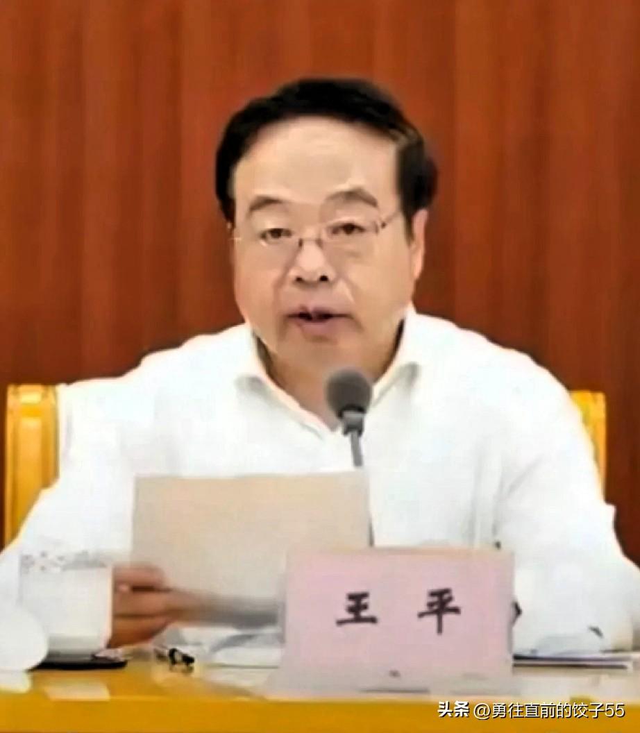 2026年2月27日，王平，天津市肿瘤医院原院长，因涉嫌问题被纪检委带走调查。王