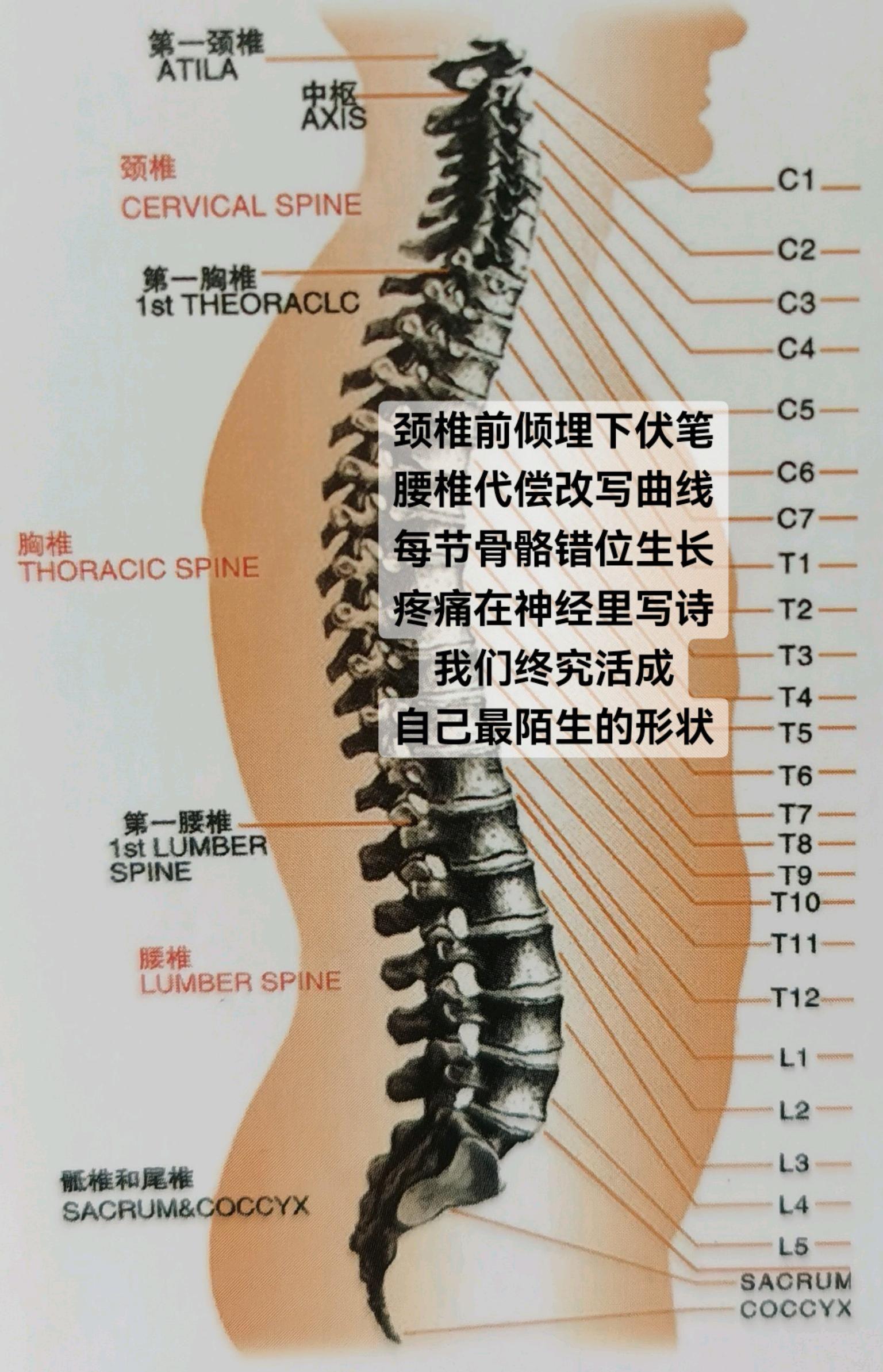 如果蜈蚣昂首挺胸挺直腰板，大事不妙