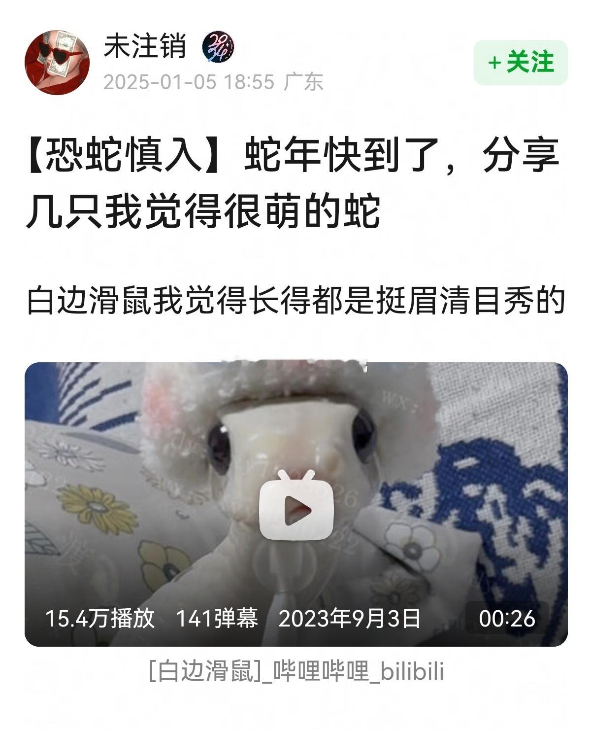 一些萌萌的蛇~🐍🐍 