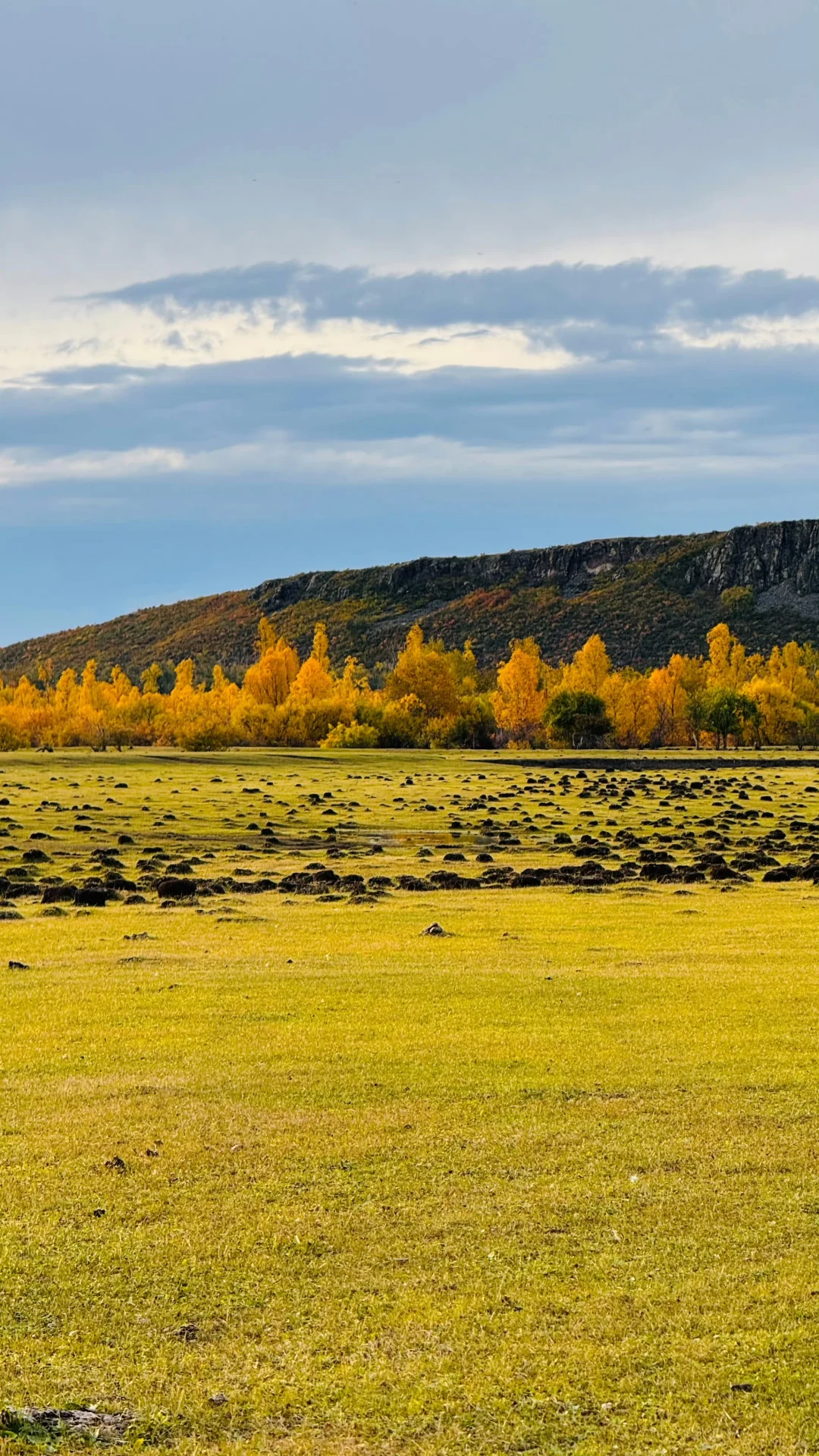 青海湖周围全是风景～