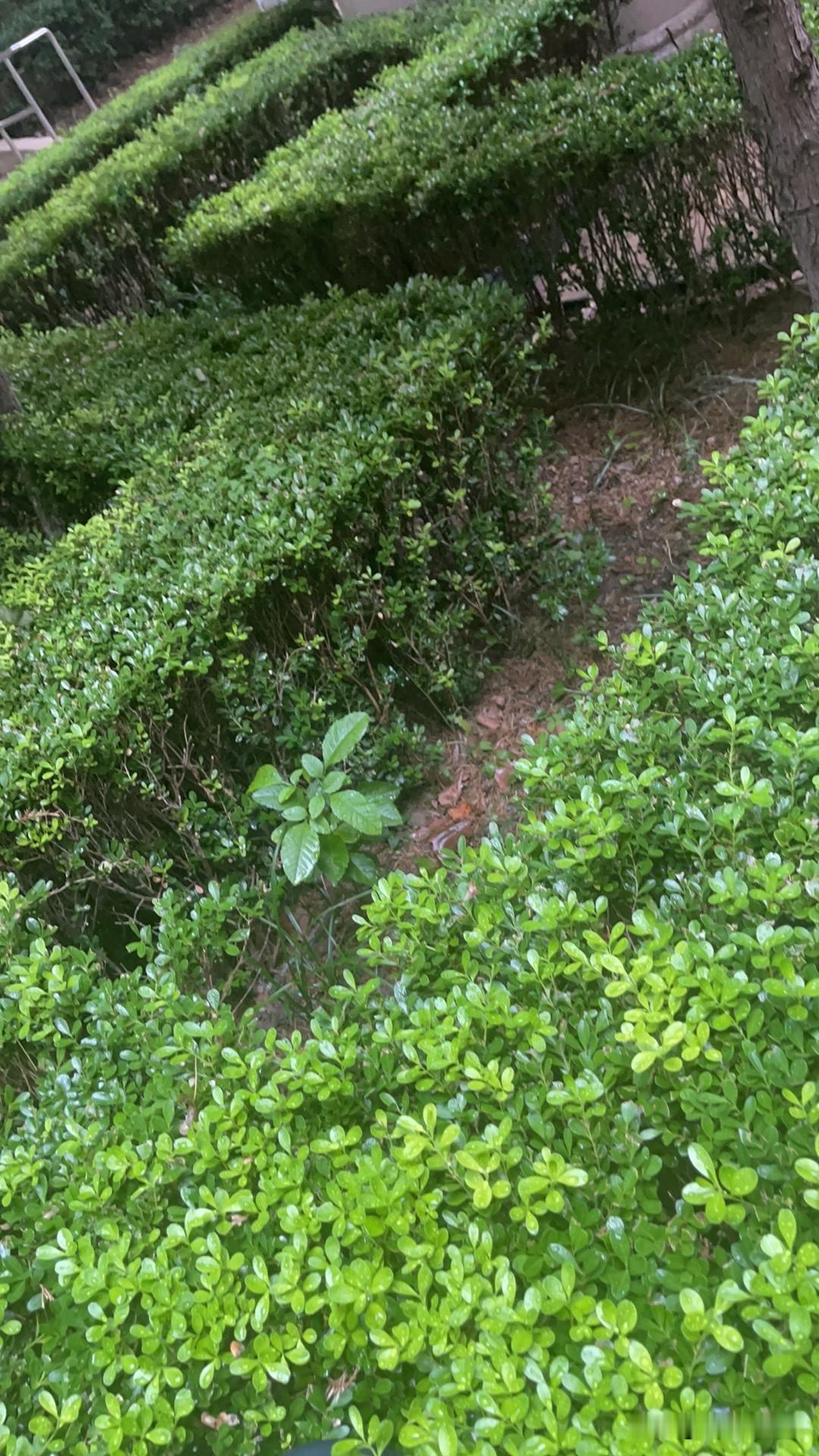 你认为《主角》算的上是一部好剧吗没看过……但是张嘉译和他的陕西伙伴演的什么电视剧