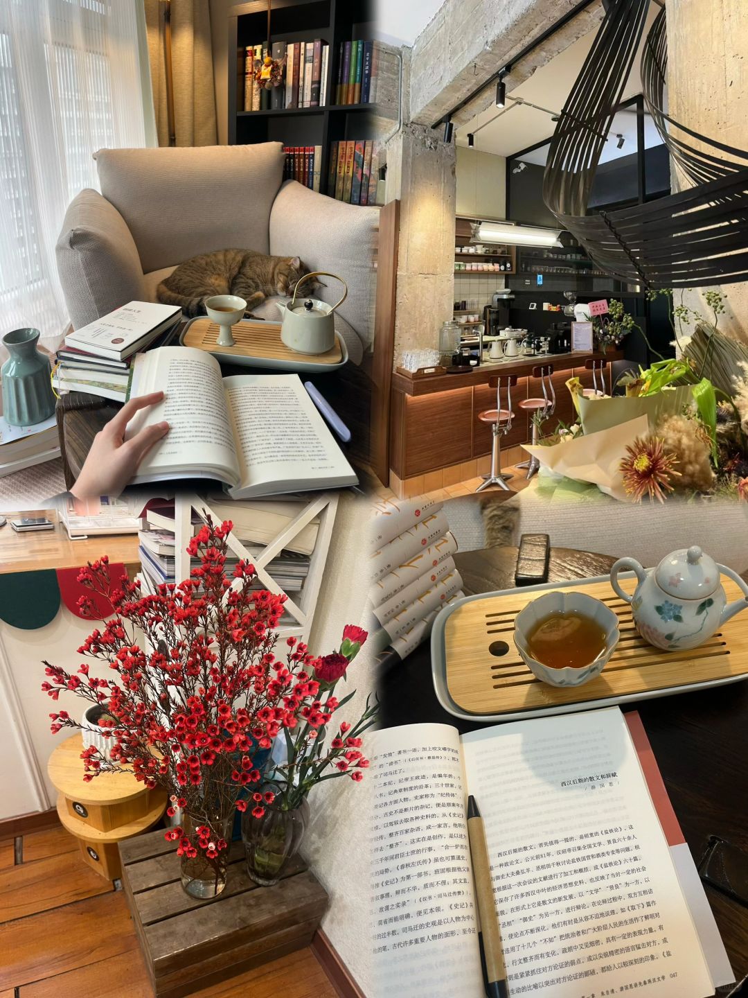 我认为女生还是要野心明确一点。