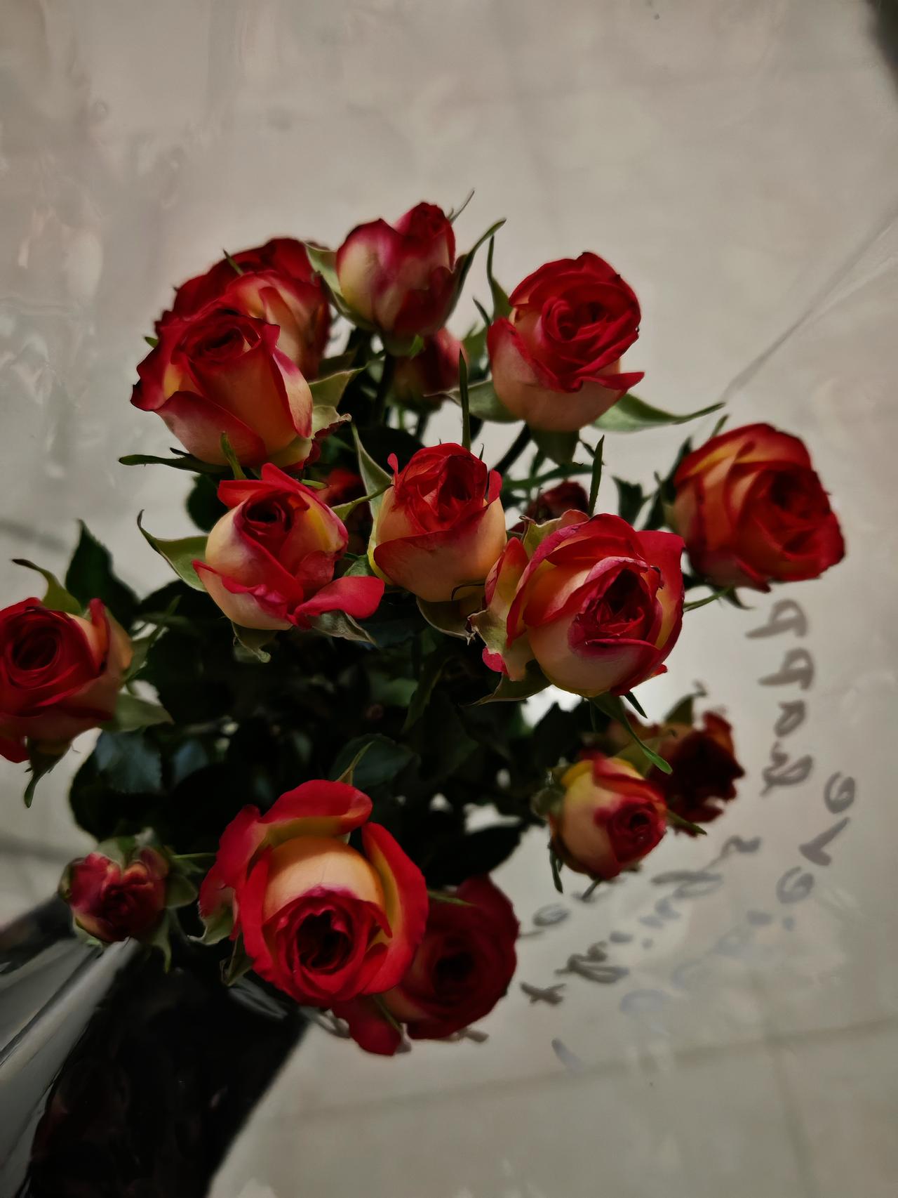 明天是三八妇女节，
今天
提前收到女儿送的节日礼物，
这是第二次
收到女儿送的妇