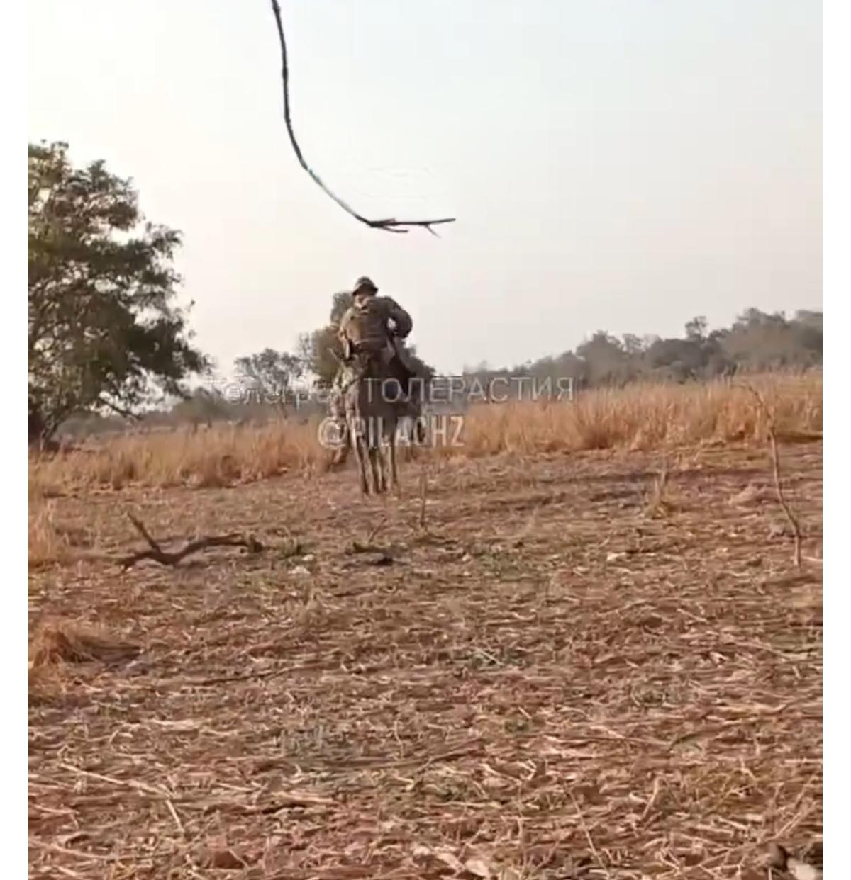 非洲某国，俄罗斯非洲军团一名战士骑着一头毛驴行进，但随后毛驴把战士弄倒在地，自己