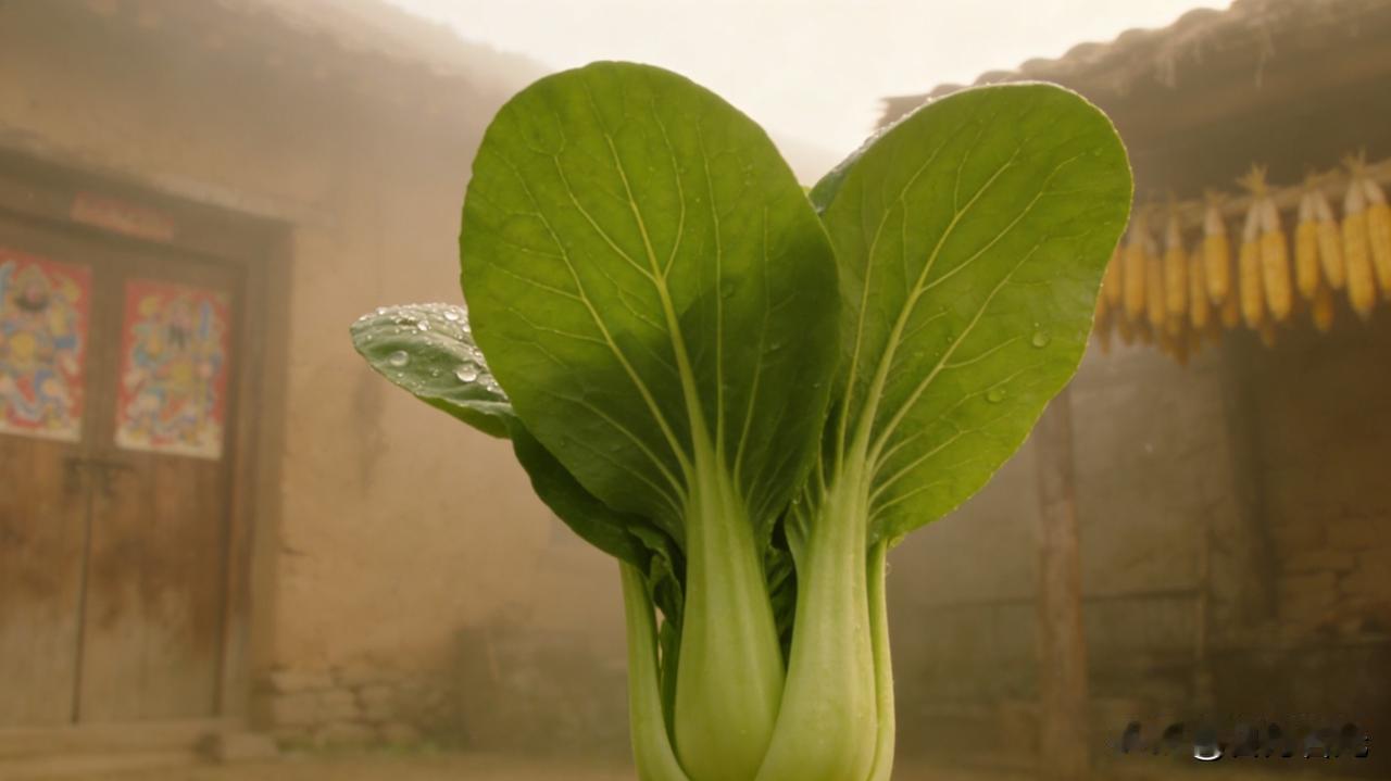 《青菜》
 
畦里青芽冒，露水洗得娇，
梗子直条条，叶子展平飘。
不与花争俏，偏