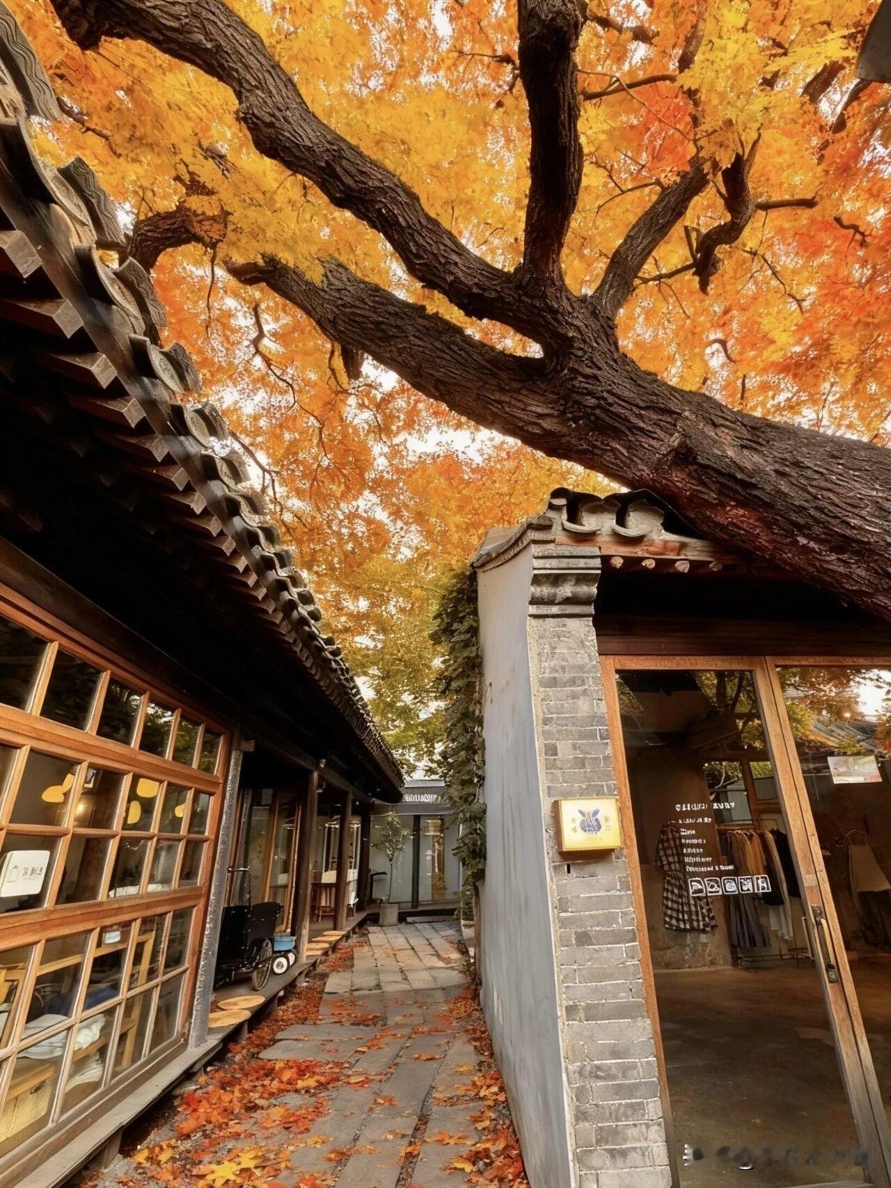 有位朋友，孩子今年初三，学习一直很好，最近一次月考，孩子排名已是年级前30名内，