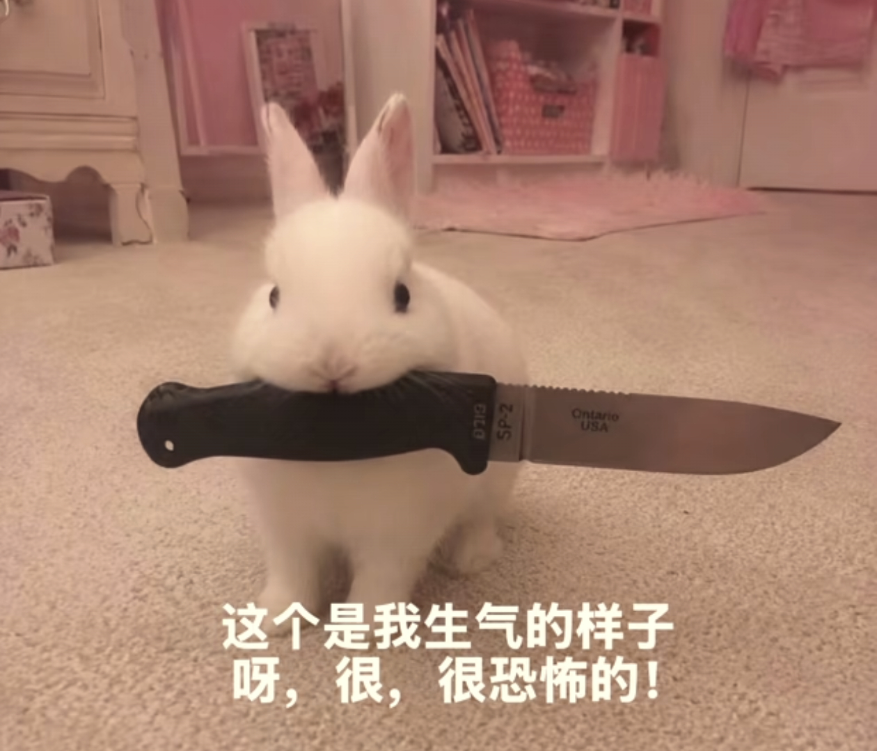 笨子长相 
