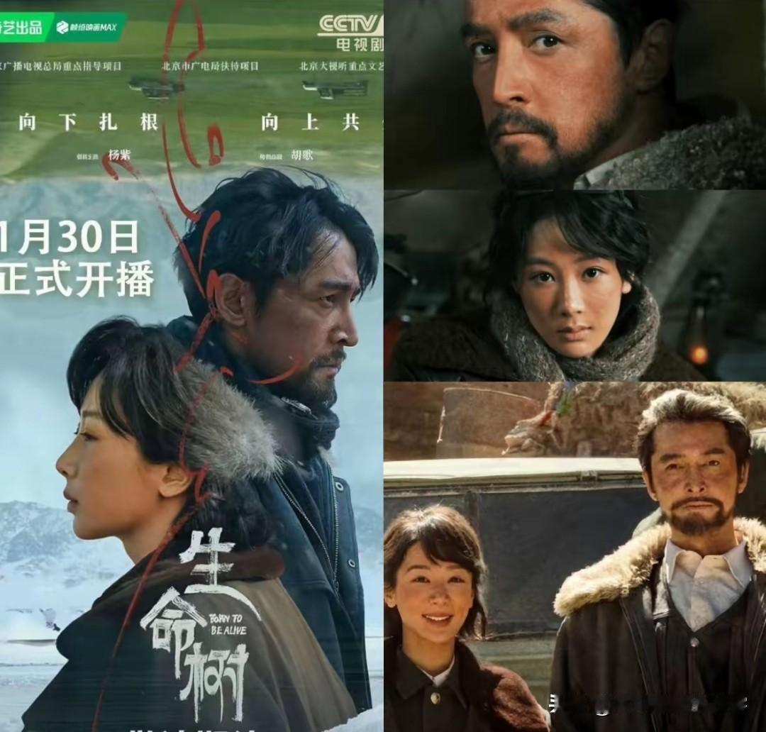 有人在生命树片场偶遇杨紫，
说她跟荧幕上判若两人！
剧里的白菊爆发力拉满，镜头外