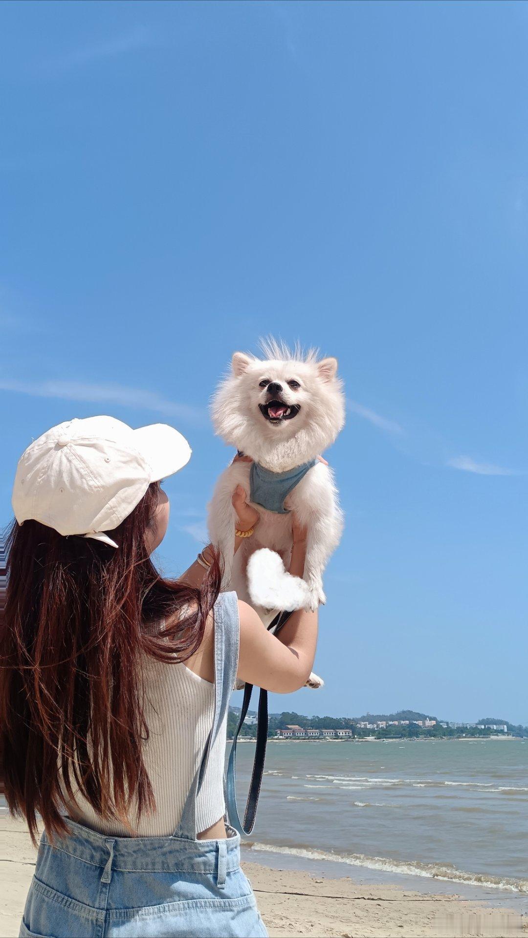 蓝色心愿 ​​​