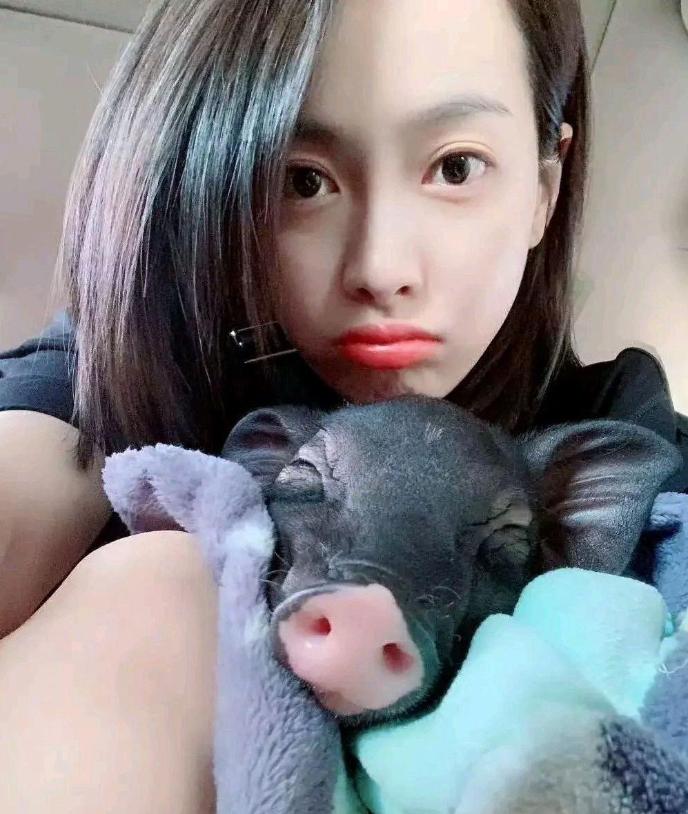 宋茜养的宠物和别人真的不一样，她的宠物是一只猪，每天在豪宅里好吃的好喝的。投胎是