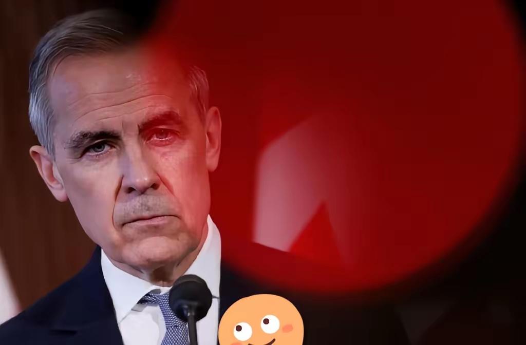 快讯！快讯！
​美国媒体突然宣布了：华尔街日报中文网抛出一段说法，称中国把对加关