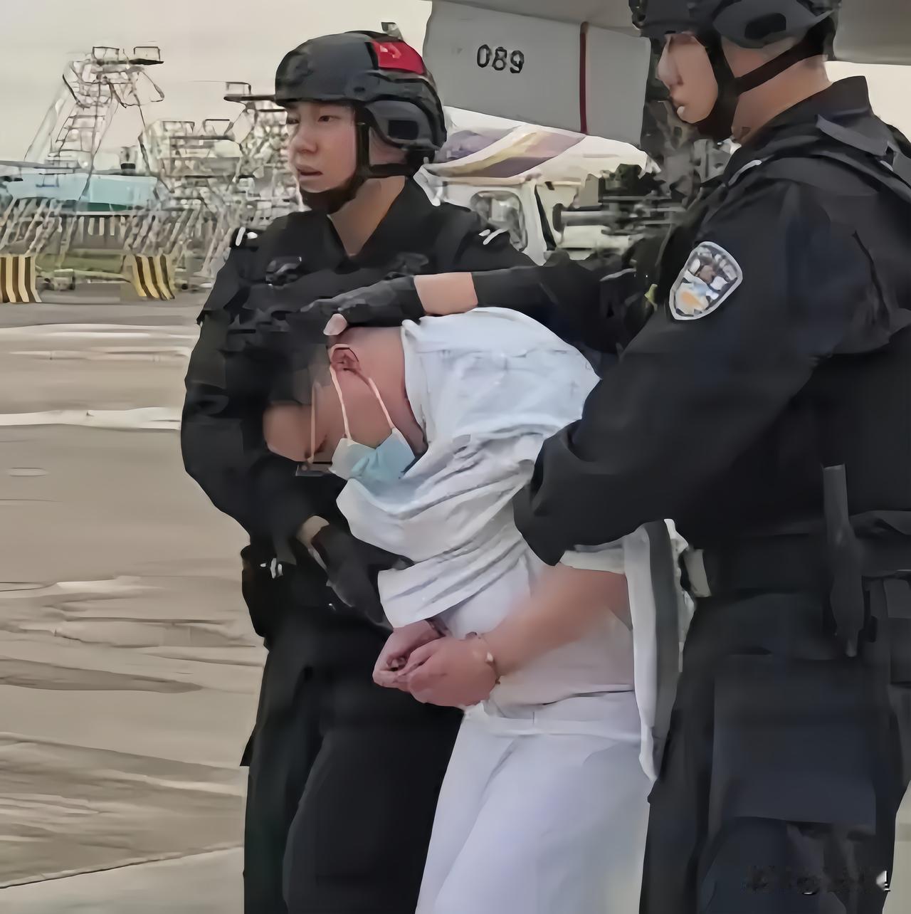 跨国追凶落地！涉嫌残害海外同胞的刘某文将接受法律审判

刘某文被从美国押回国了，