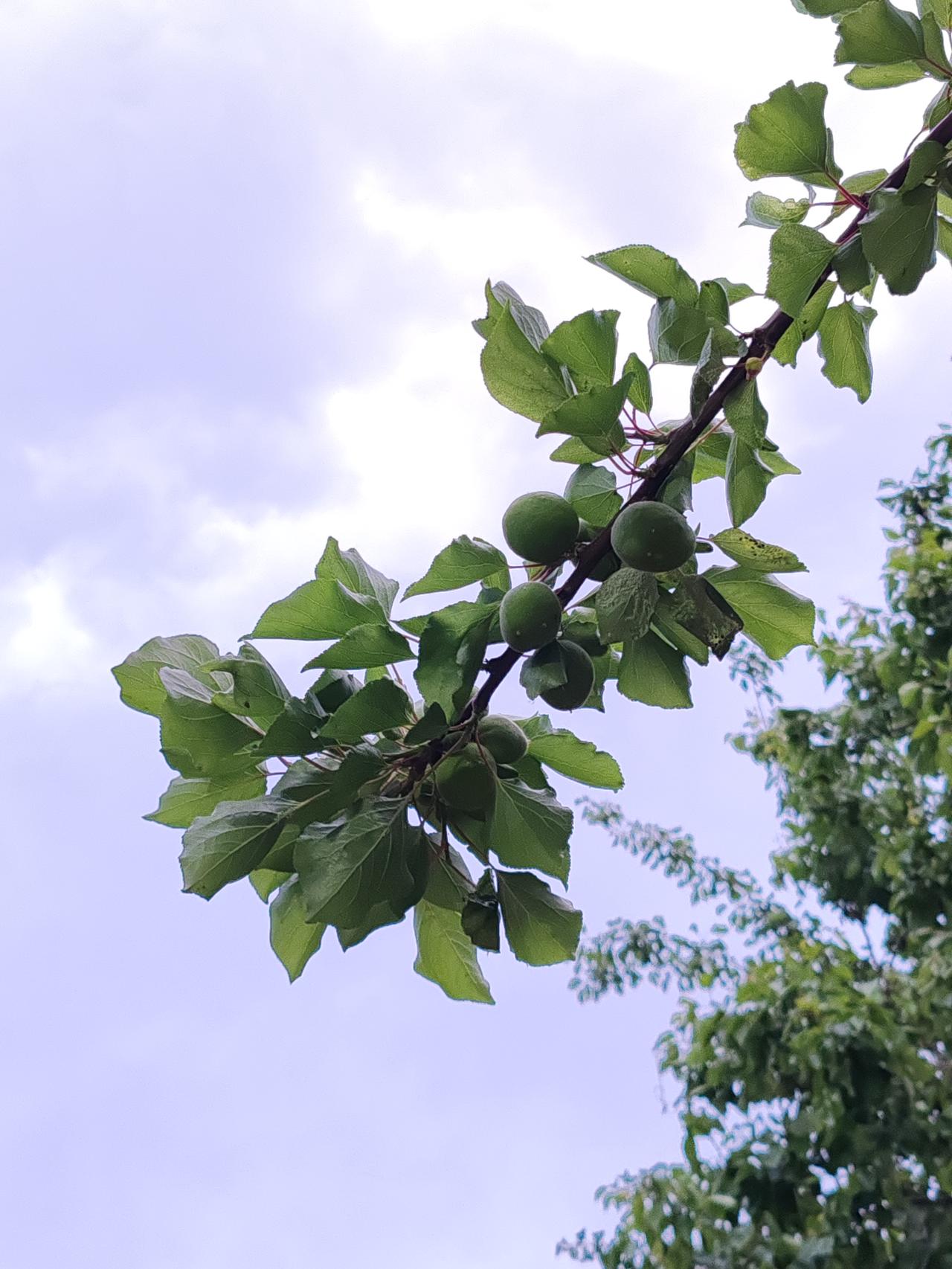 你们这哪叫夫妻呀，还不如人家塔伙过日了的。搭伙过日了的男方一般一个月也给女方50