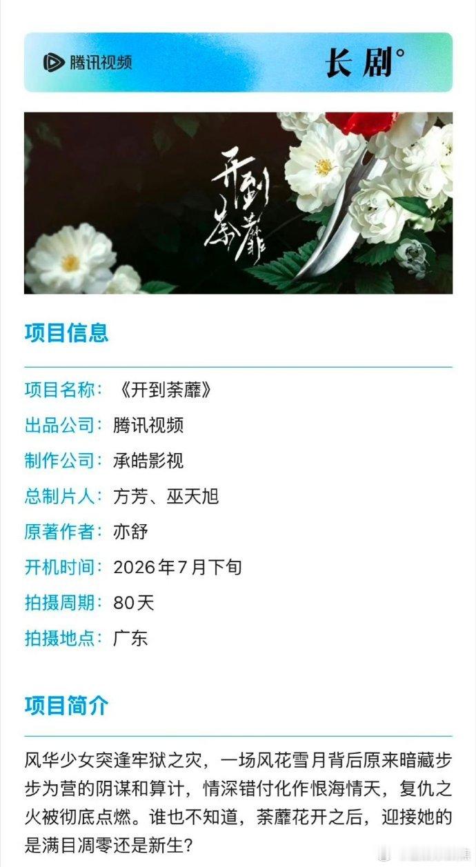 白鹿开到荼蘼拍80天白鹿新剧《开到荼靡》16集要拍80天，看来是精品短剧~白鹿开