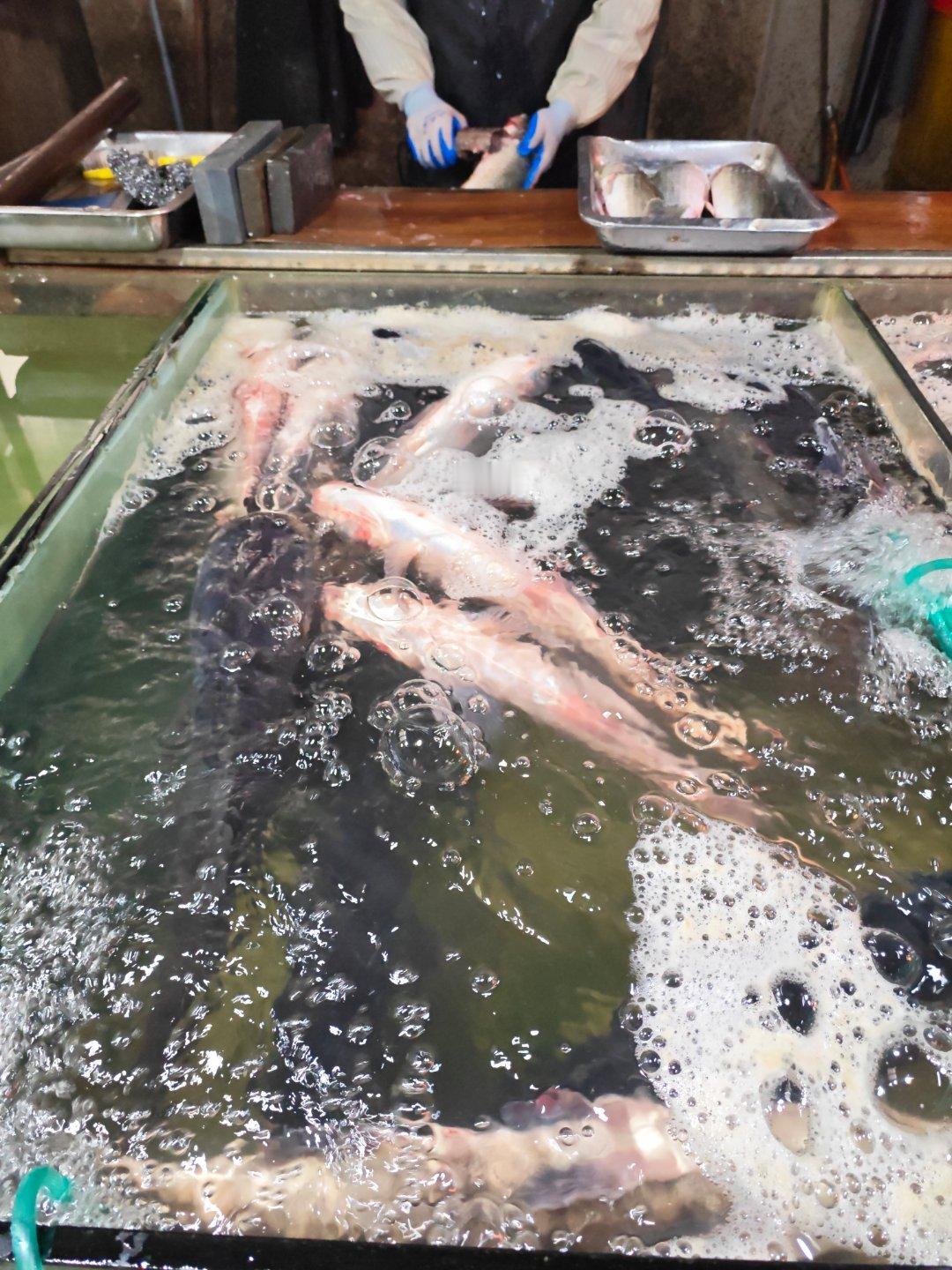 天冷了，买条鱼回家炖火锅