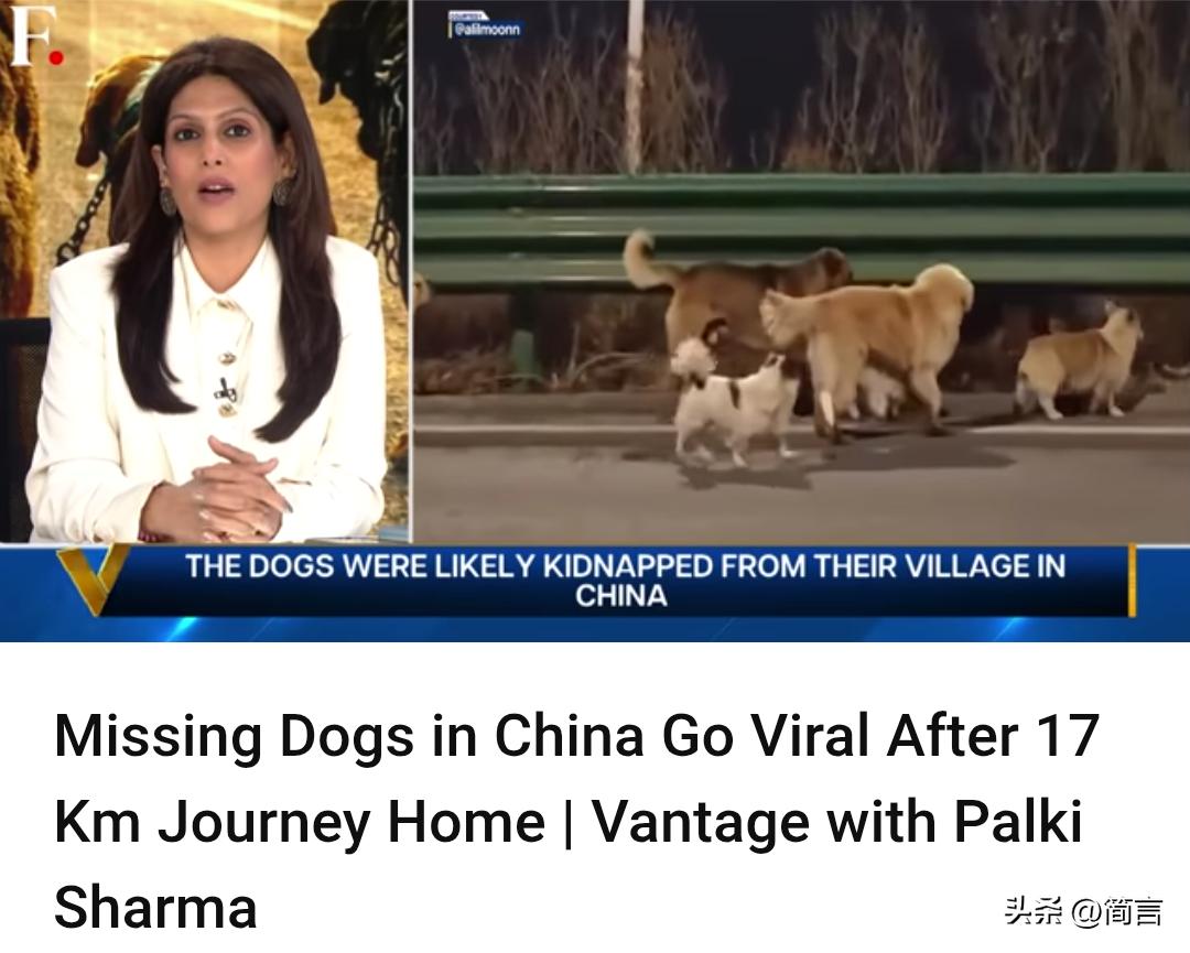 印媒：中国走失狗狗17公里回家视频走红网络…

3月25日，印媒在报道中表示，在