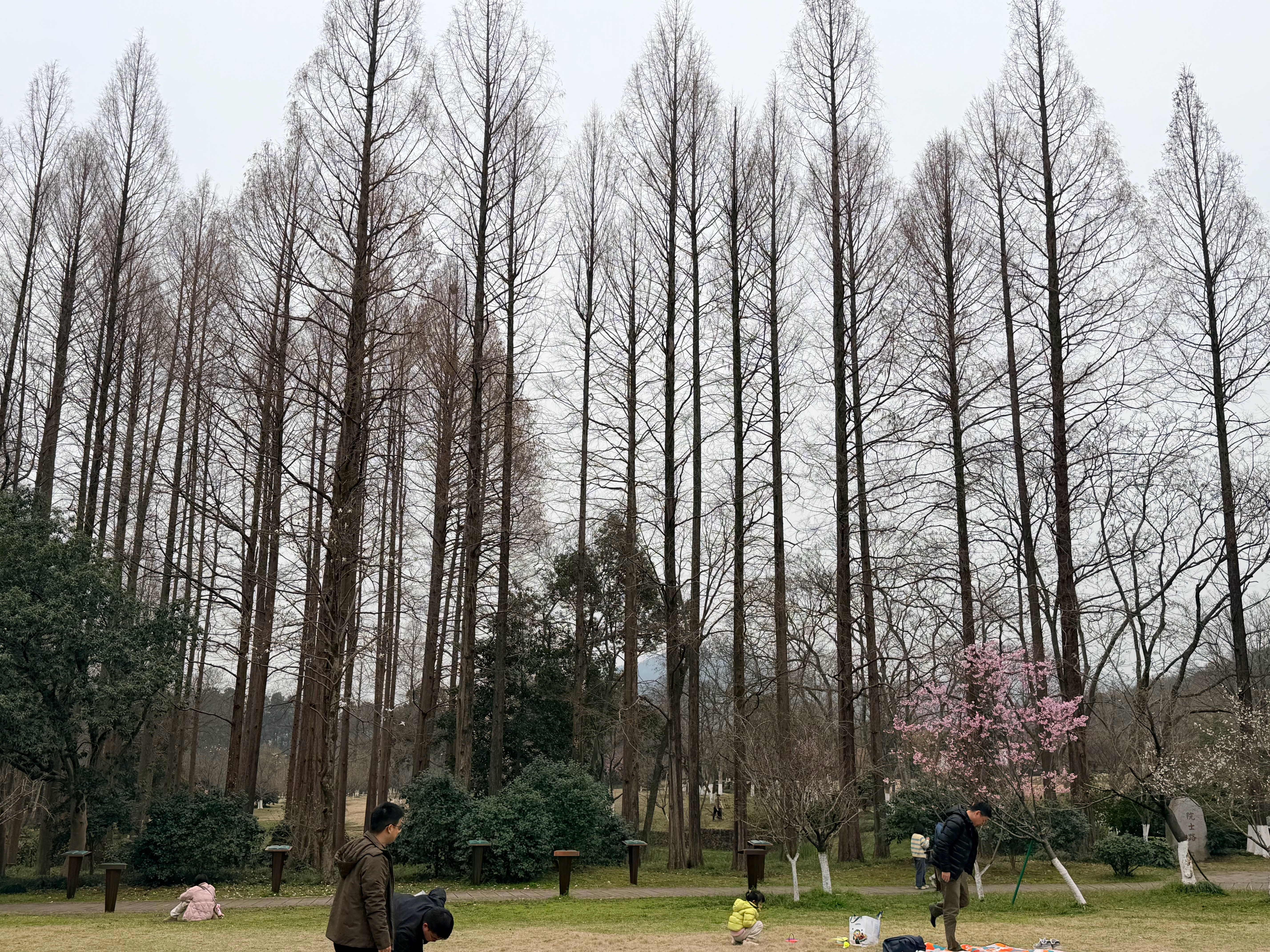 刚刚有个同事说买车，想看看M6，就图一个智驾好？说智驾就华为和特斯拉好，还知道1