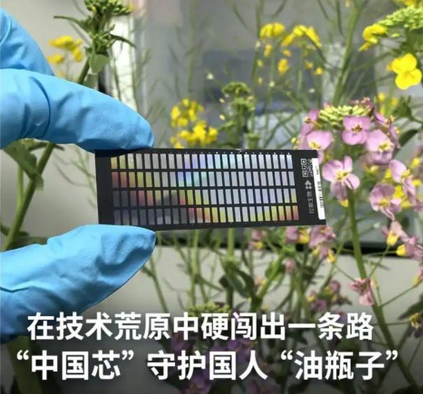 中国终于打破国外20年垄断！

各位朋友，不管你是种地的农户，还是普通老百姓，今